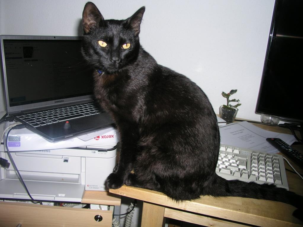 attachment.php