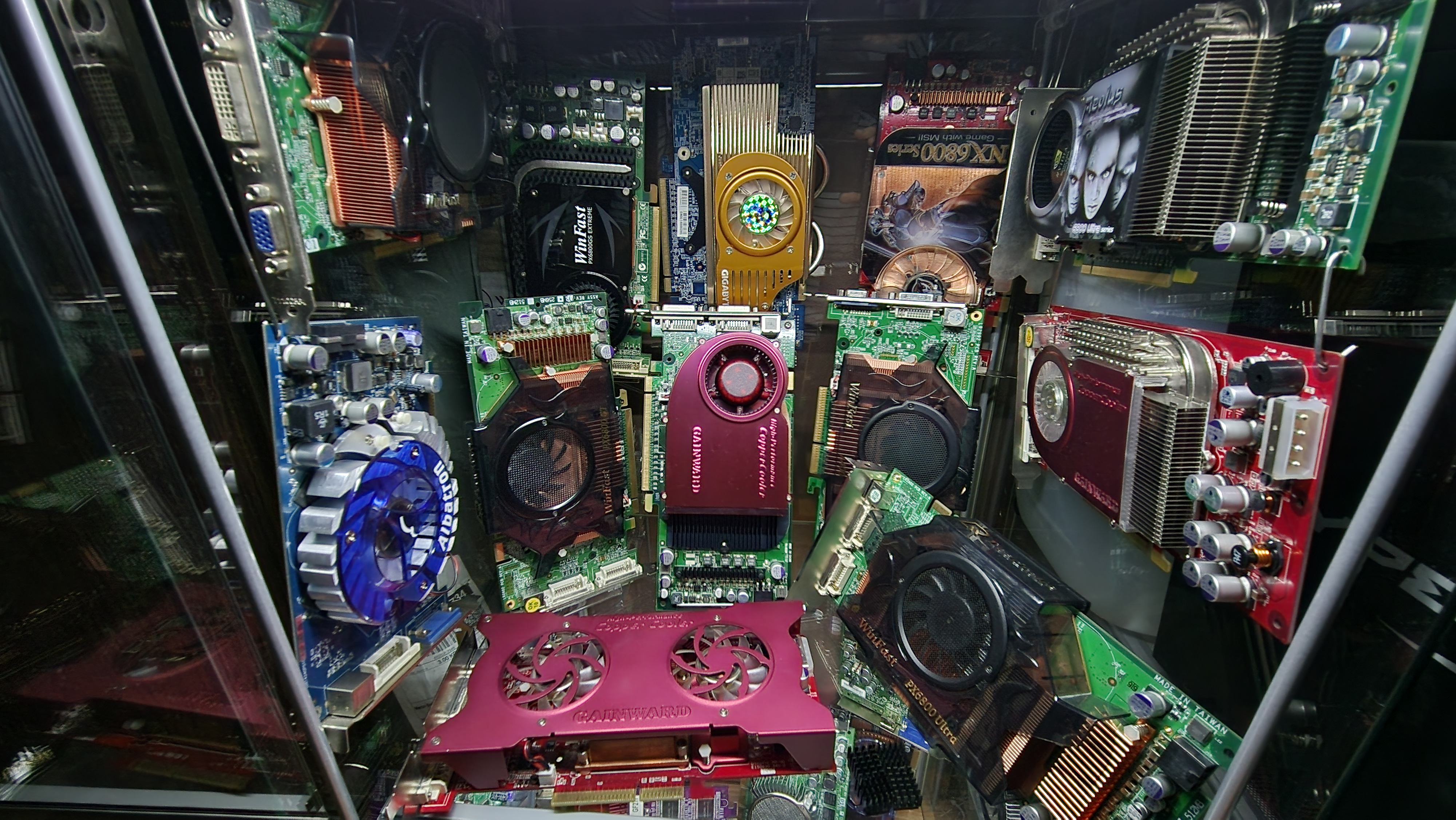1000051389.jpg