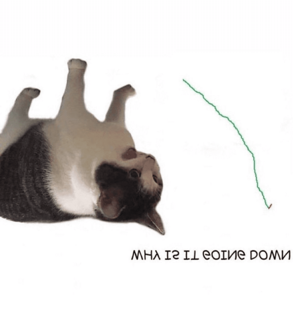 1000090729.png