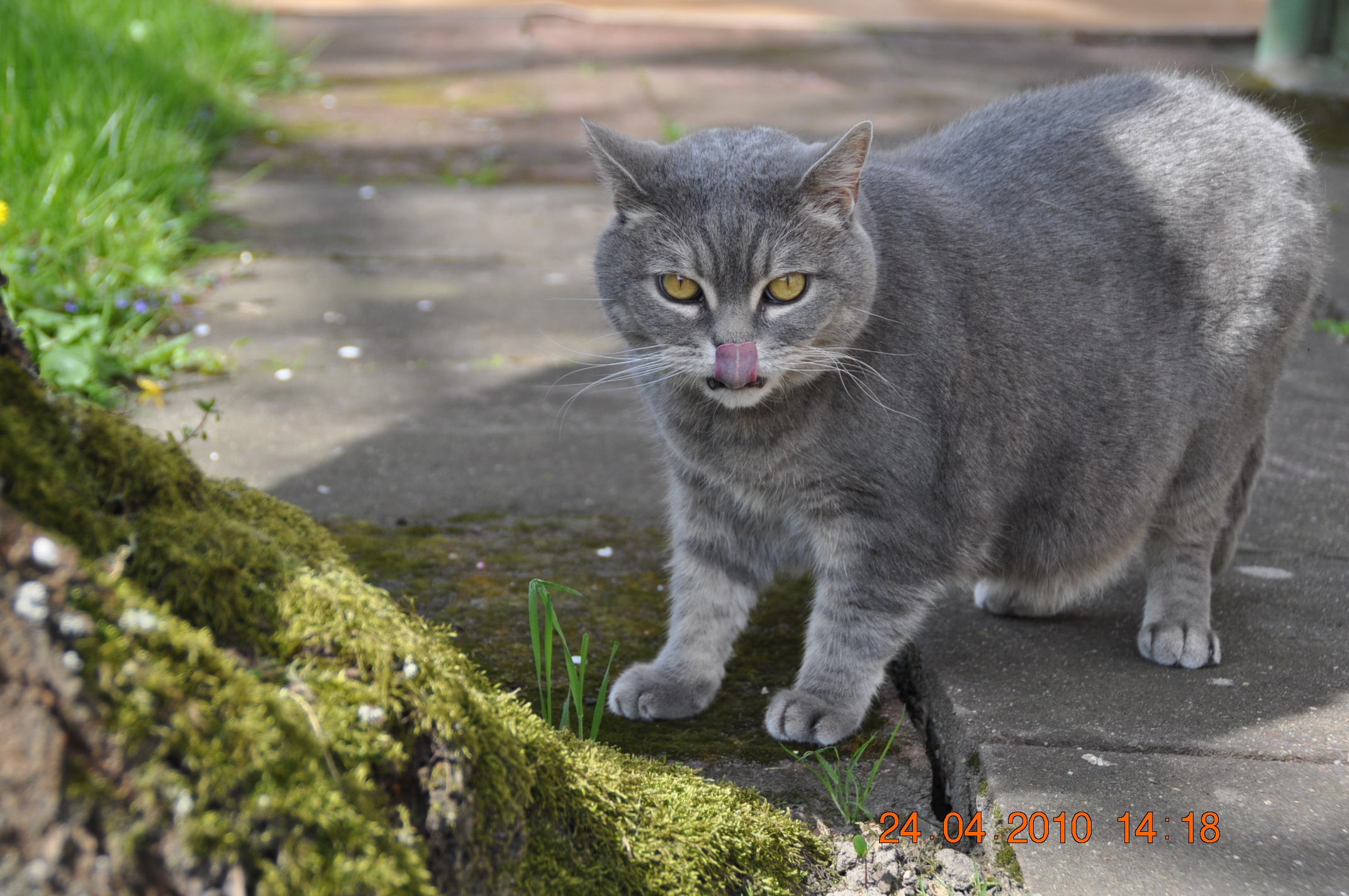 12.05.2010 135.JPG