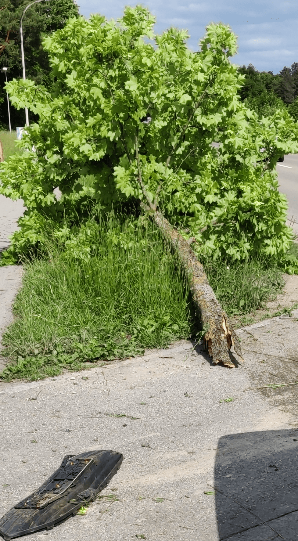 1653583193937.png