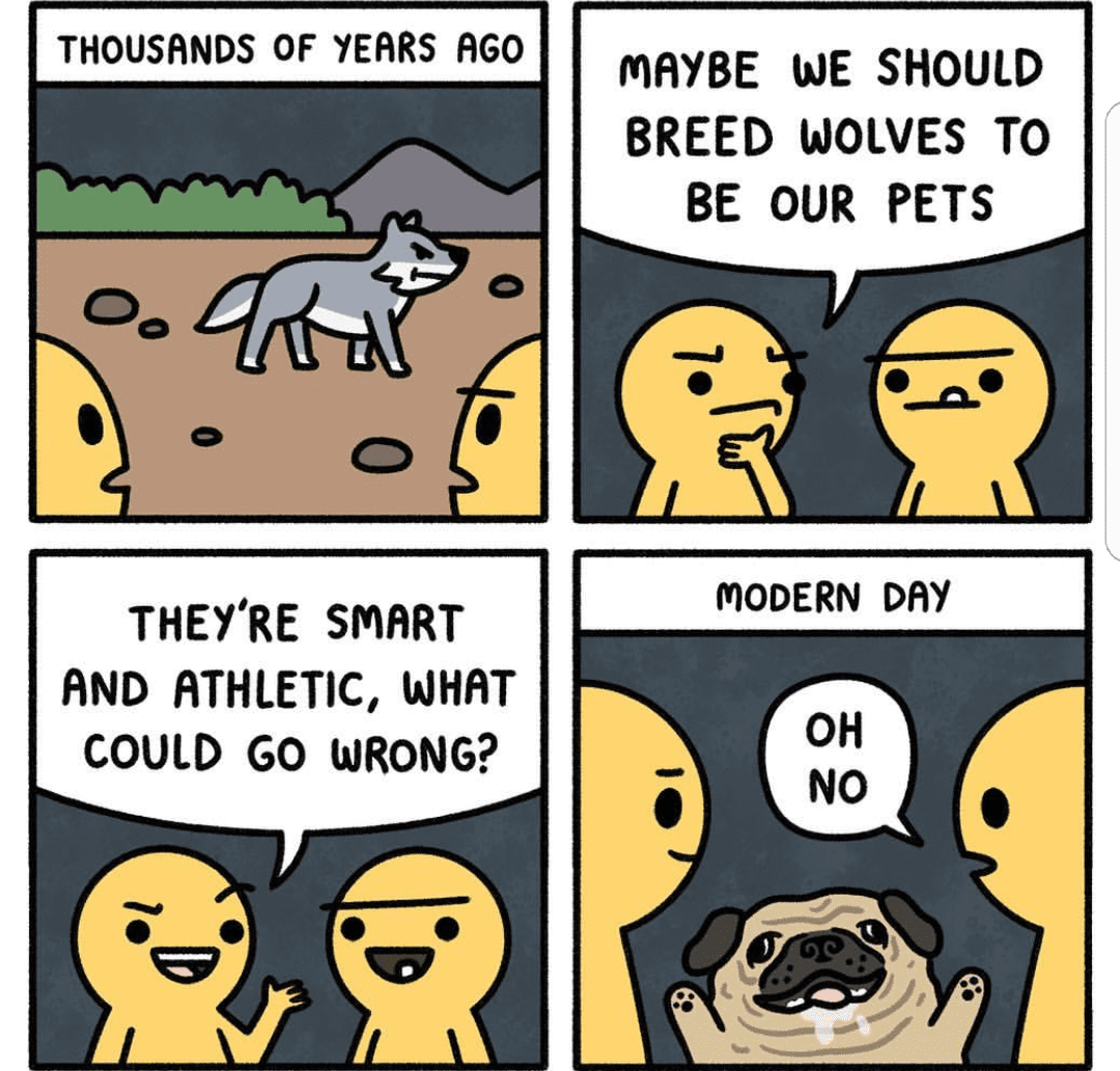 1656423635716.png
