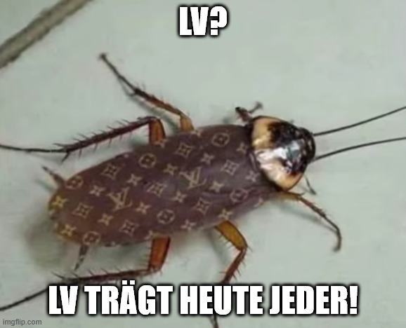 1748713462338.jpeg