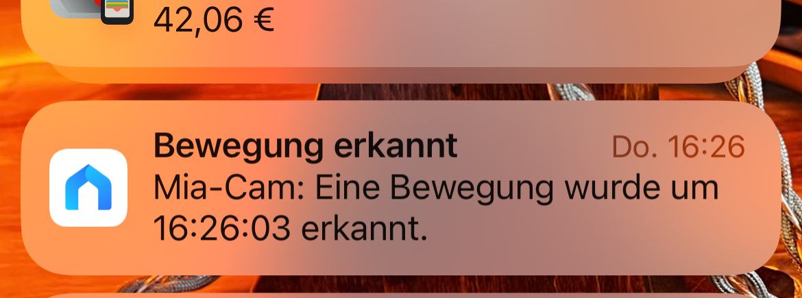 1751794409553.jpeg