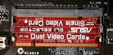 1753525025478.png