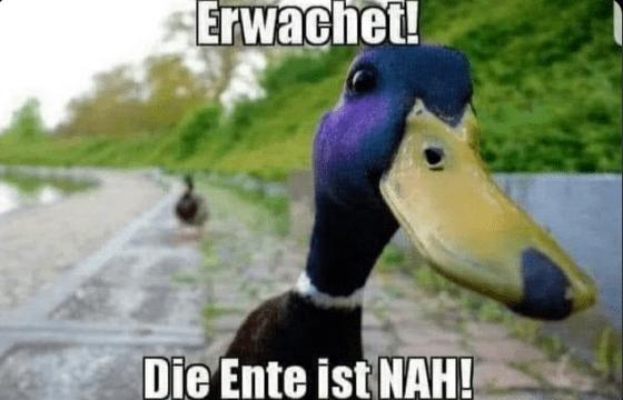 1761168530103.png