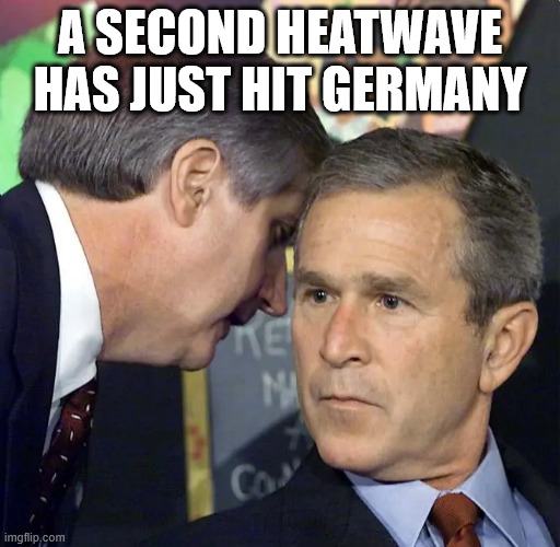 1784877601339.jpeg