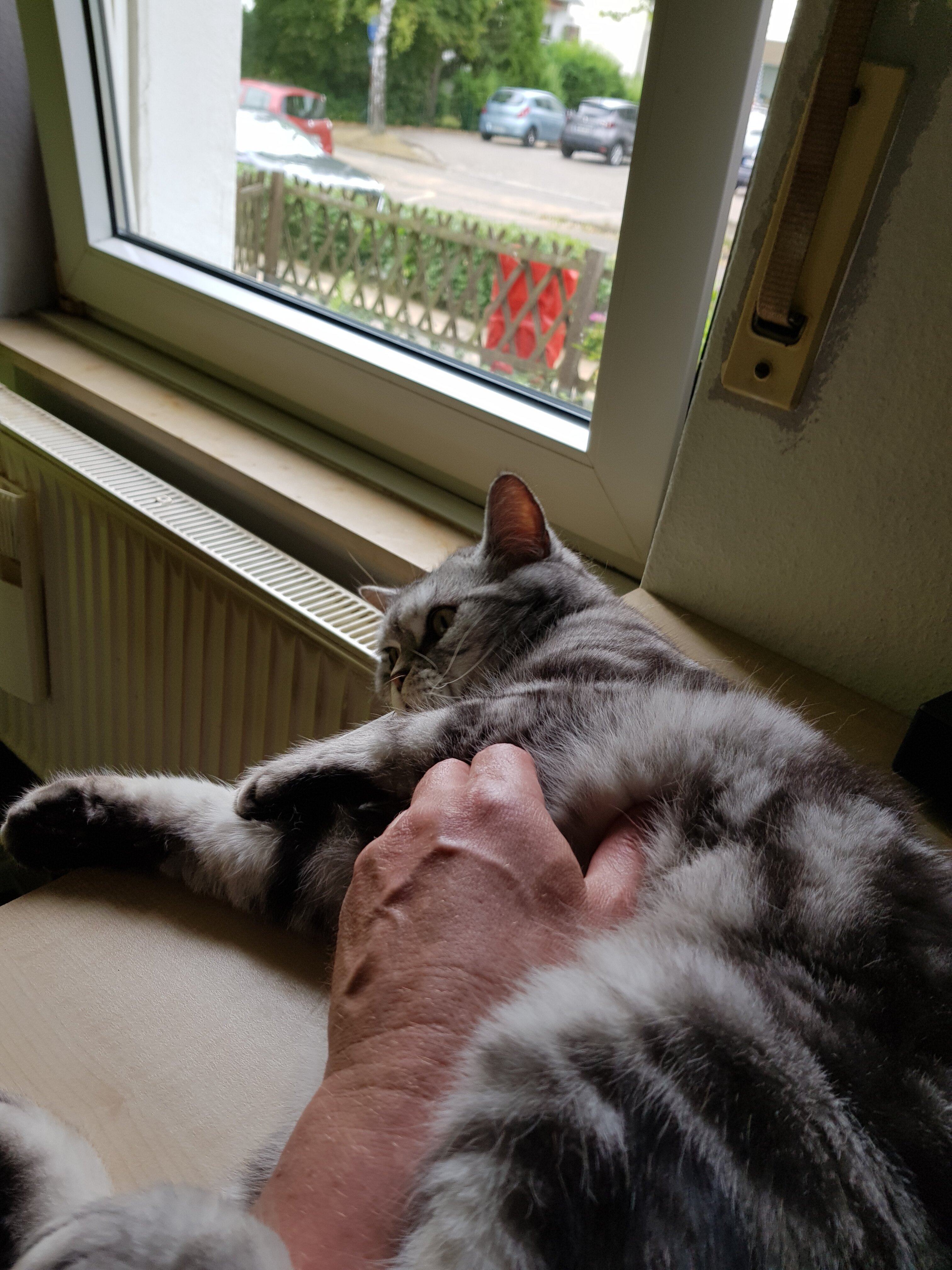 20220624_112541.jpg