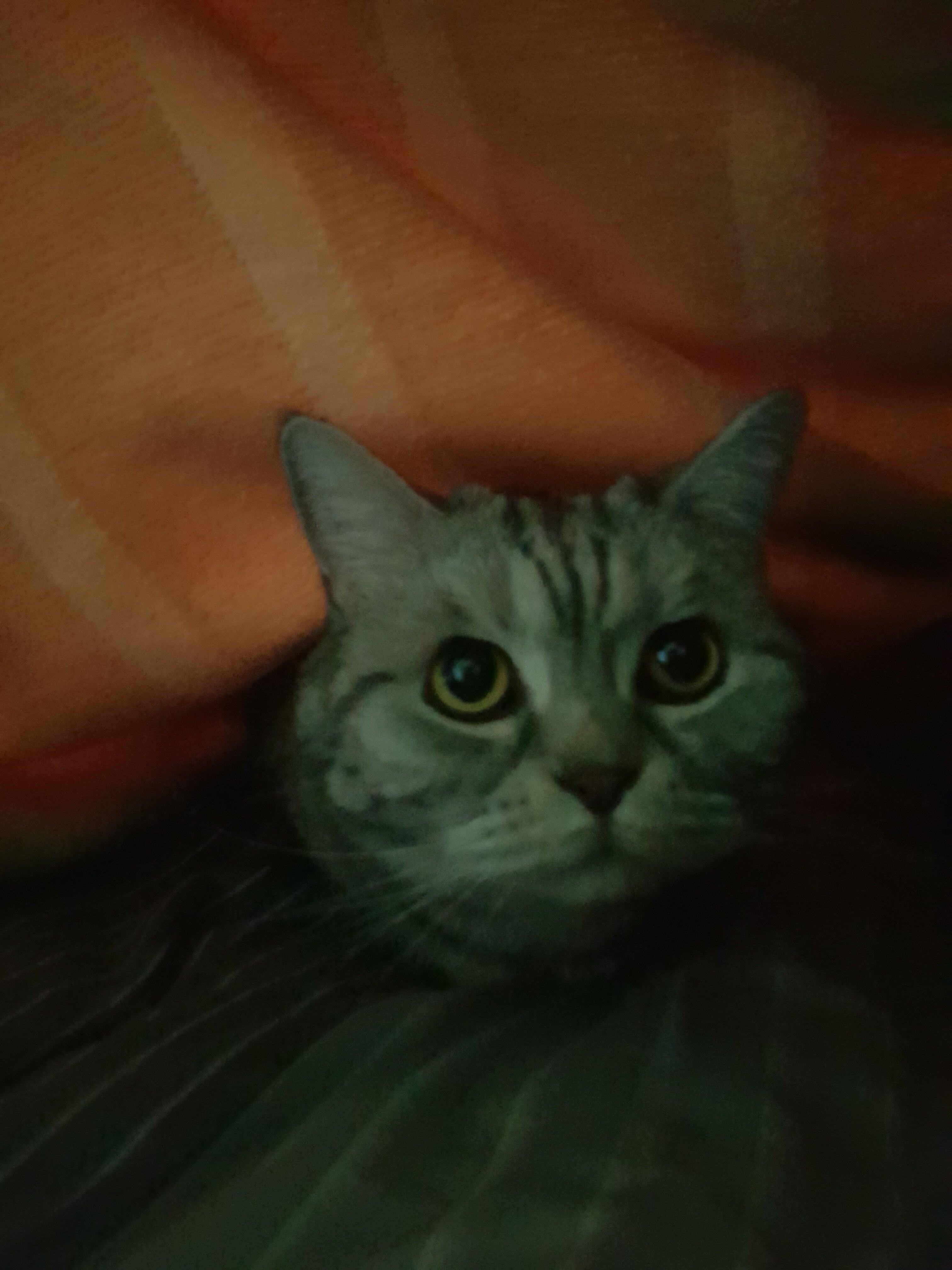 20221130_143329.jpg
