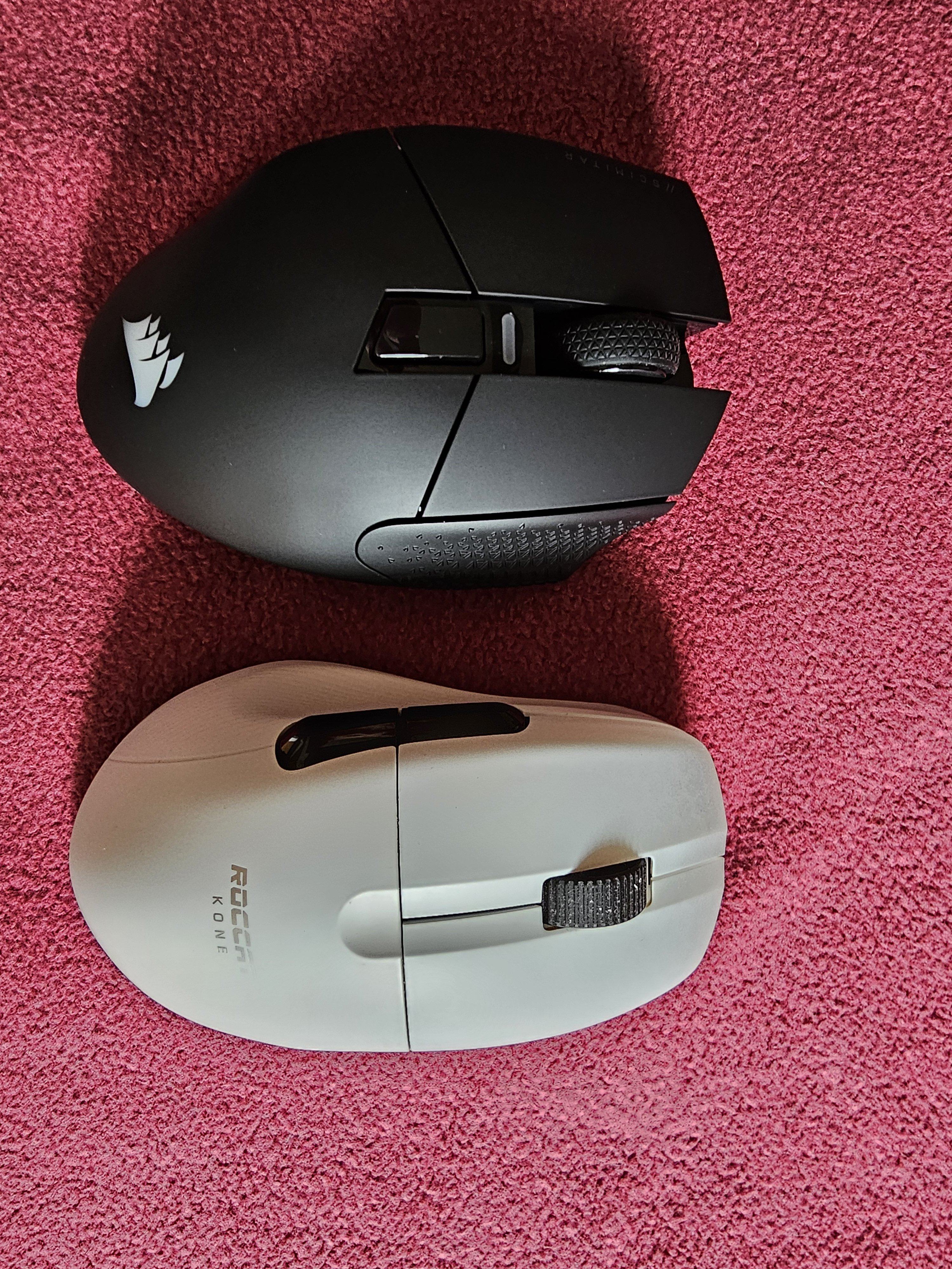 20240322_113236.jpg