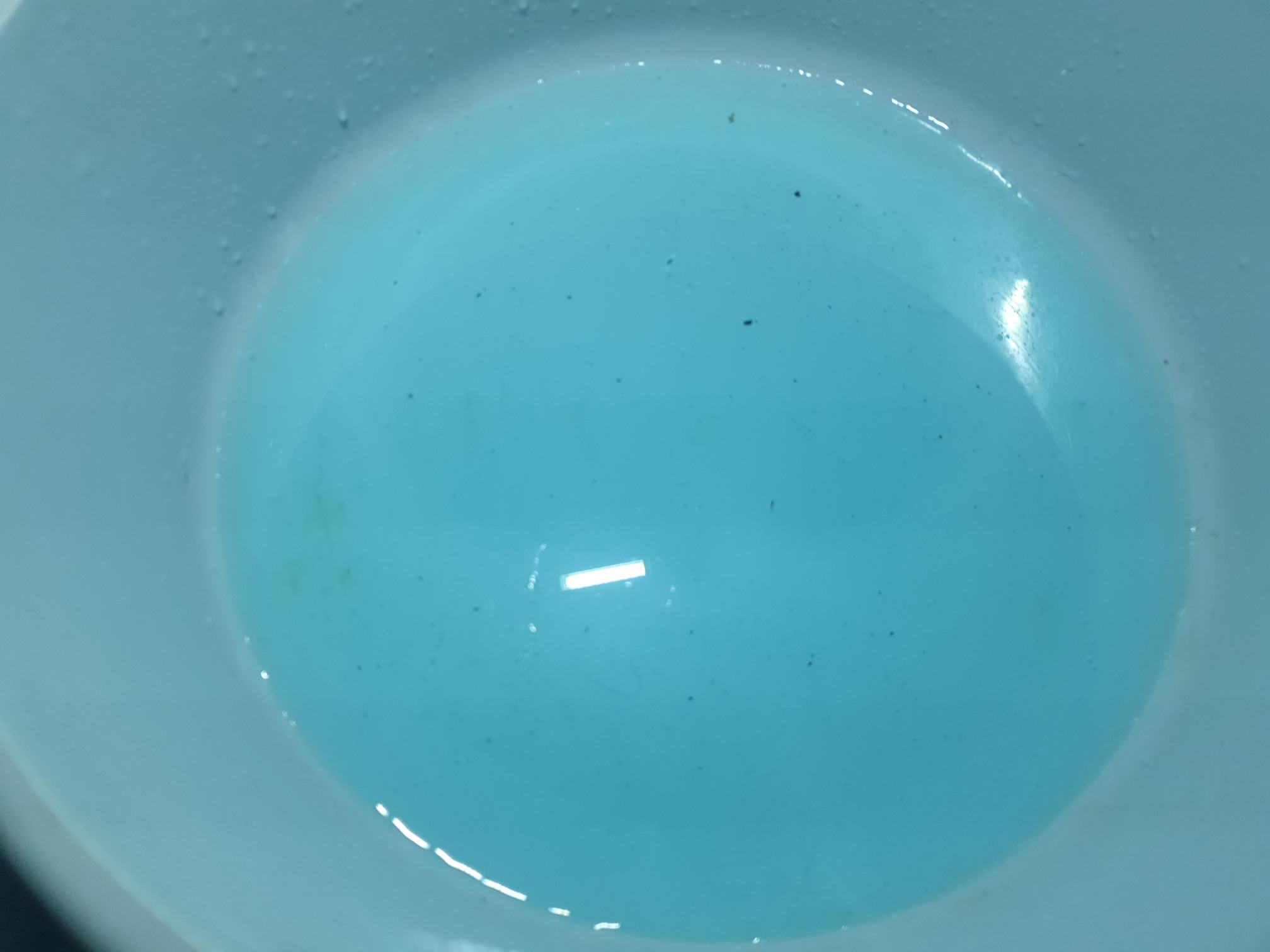 2025-04-09-17-12-18-734.jpg