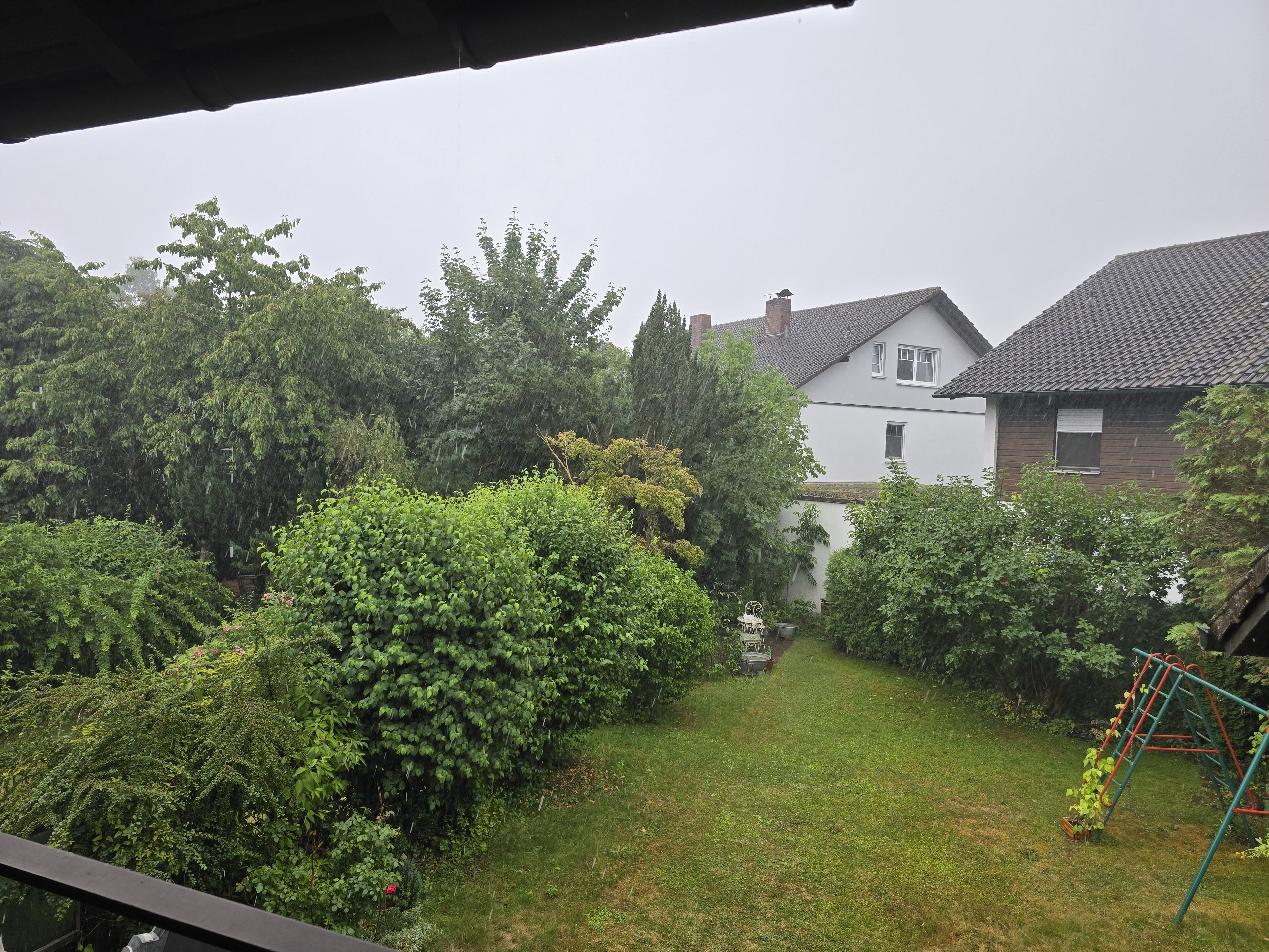 20250708_142821.jpg
