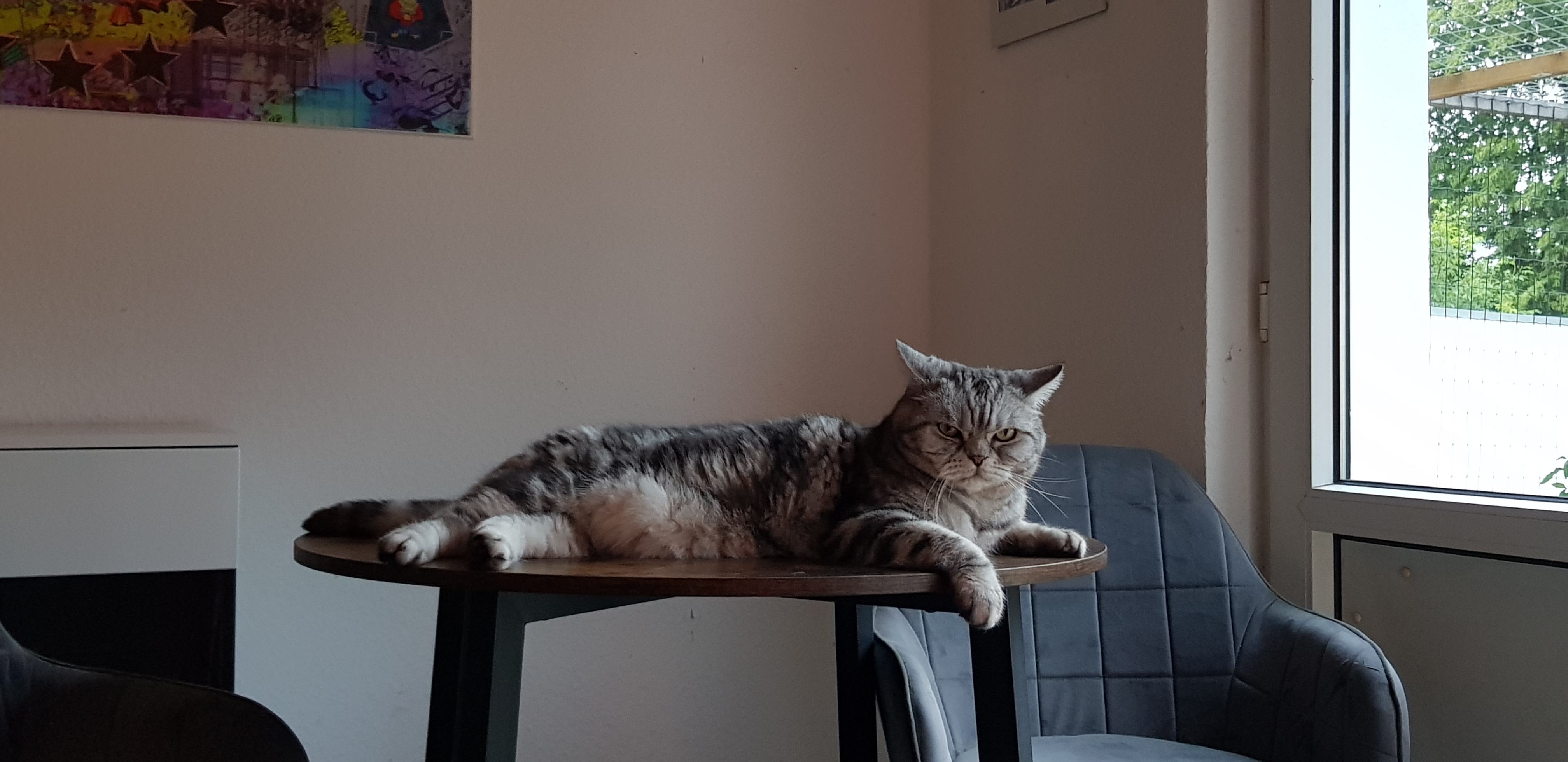 20250726_204613.jpg