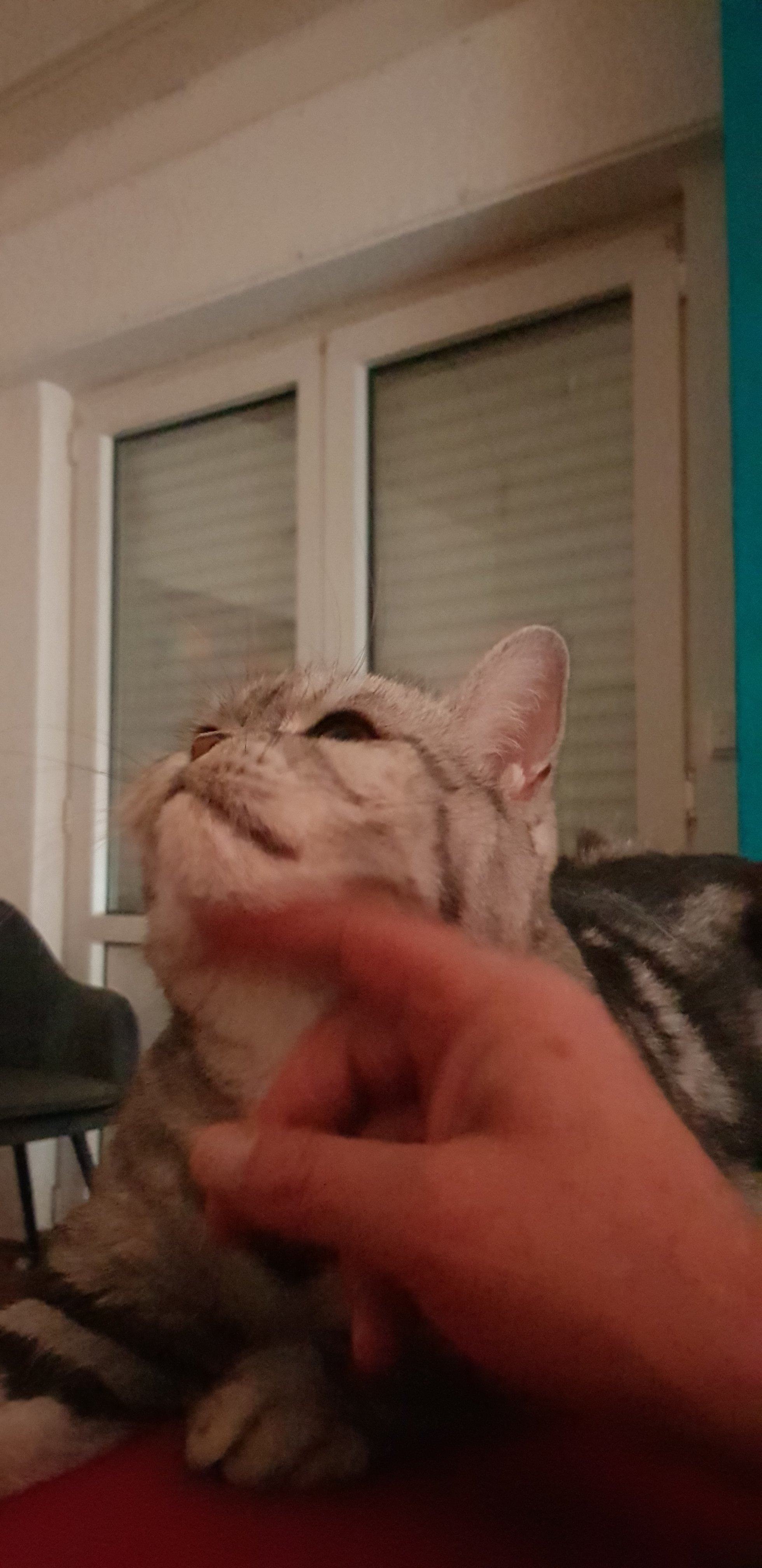 20250808_222137.jpg