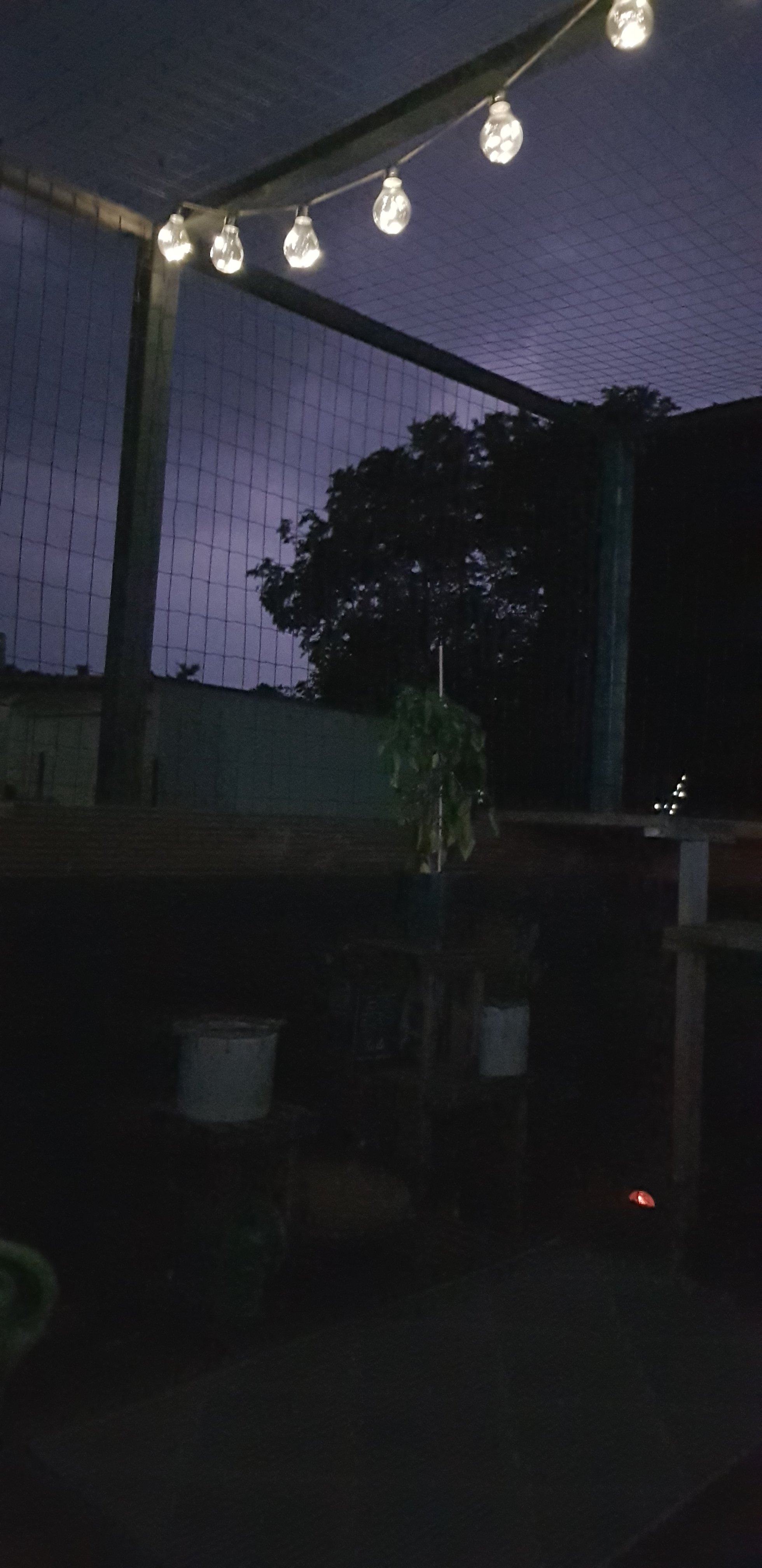 20250814_222148.jpg