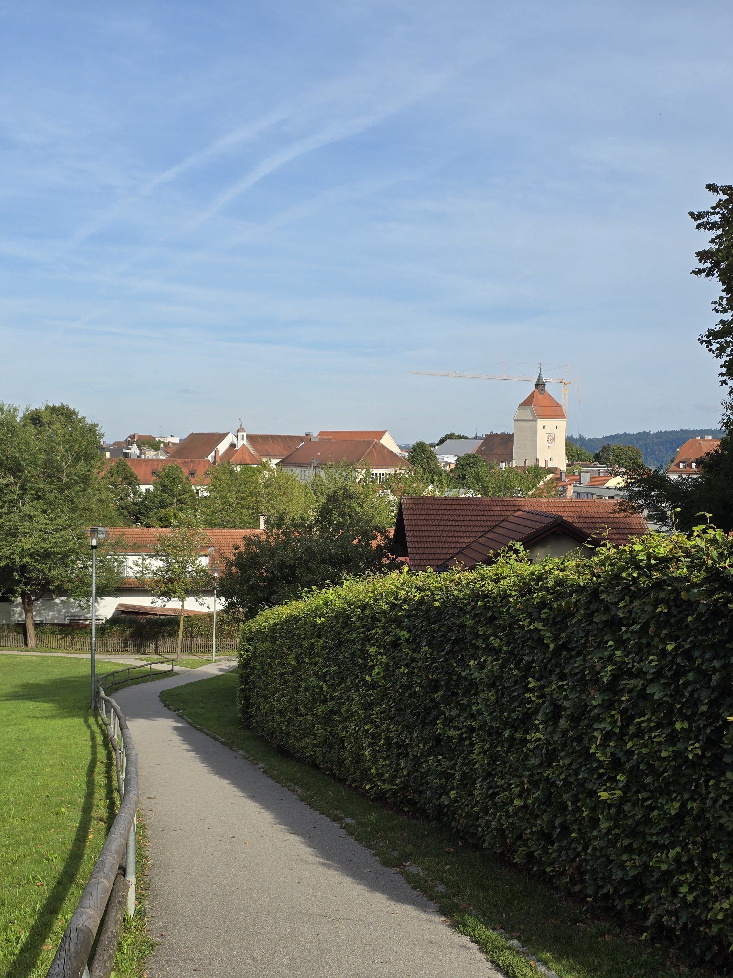 20250907_094342.jpg