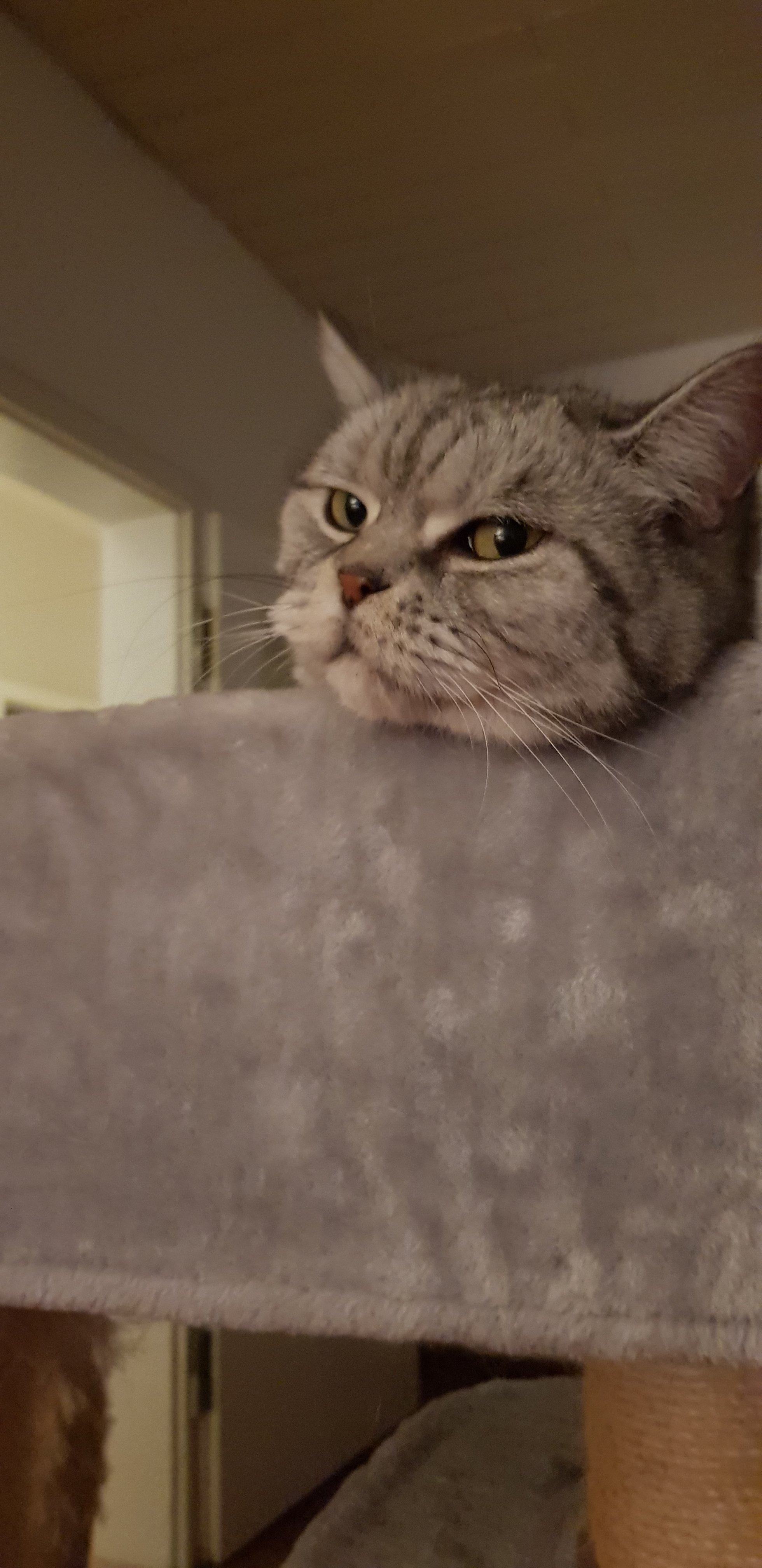 20250912_221819.jpg