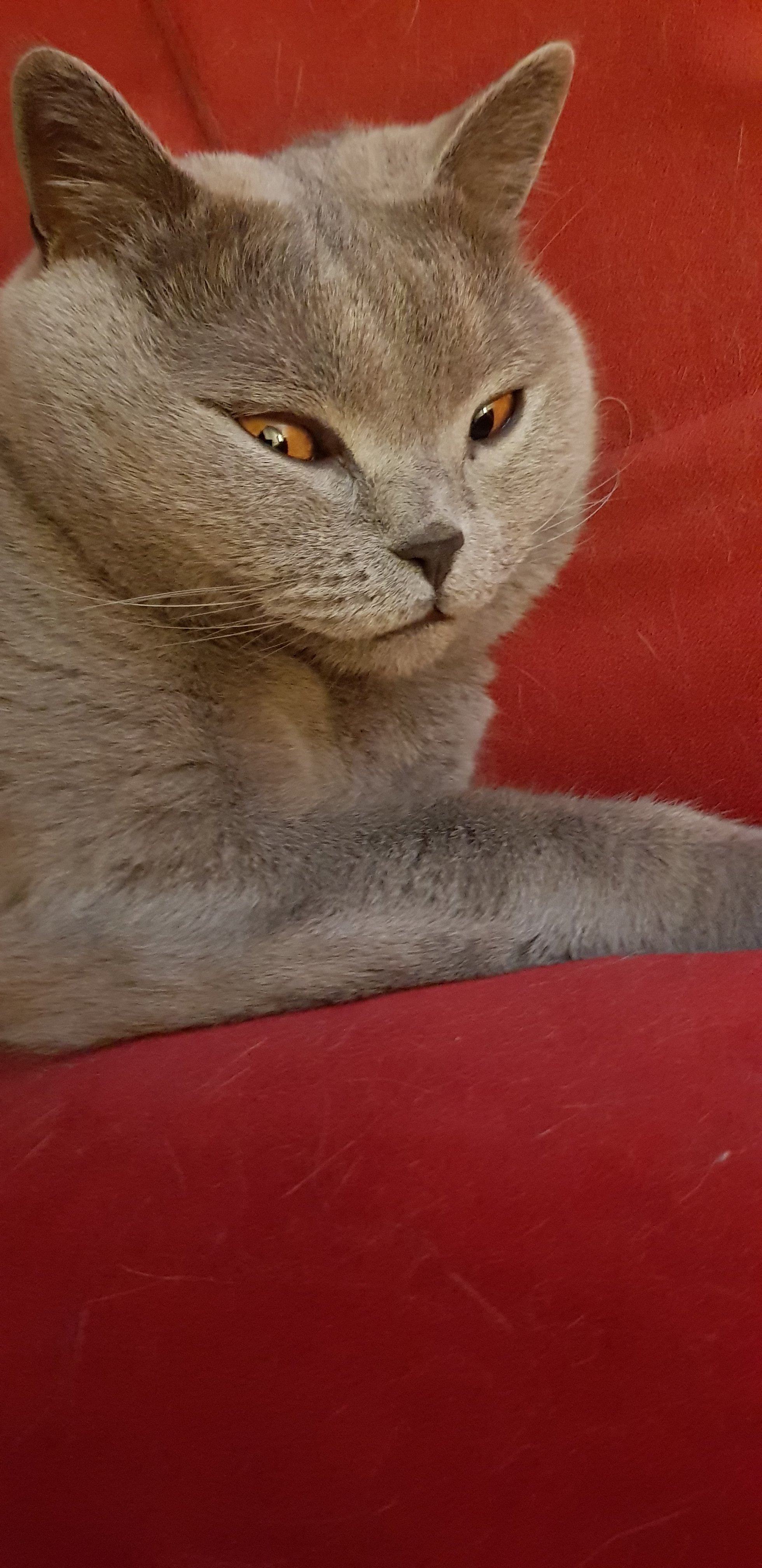 20250930_230238.jpg