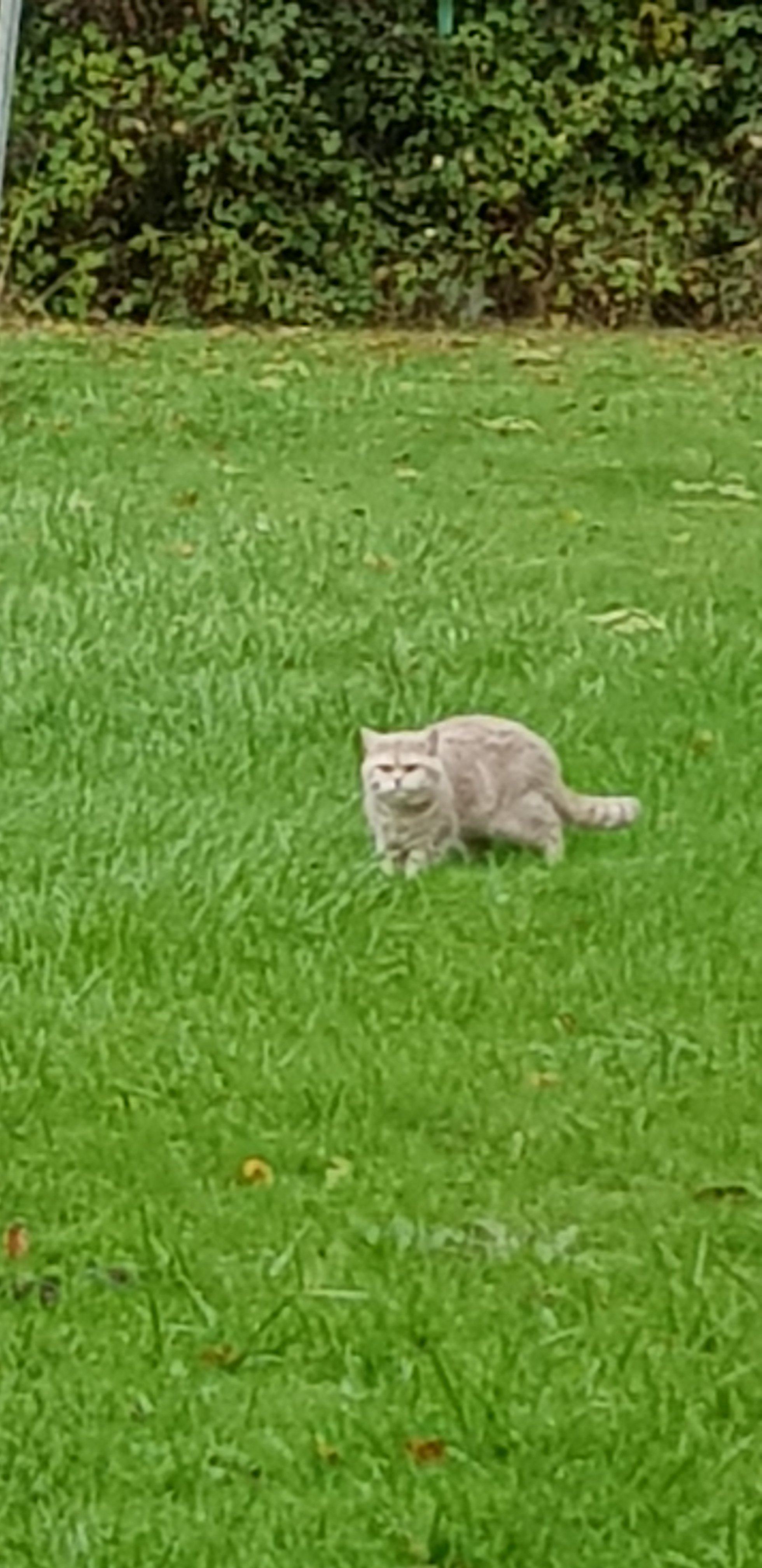 20251015_131306.jpg