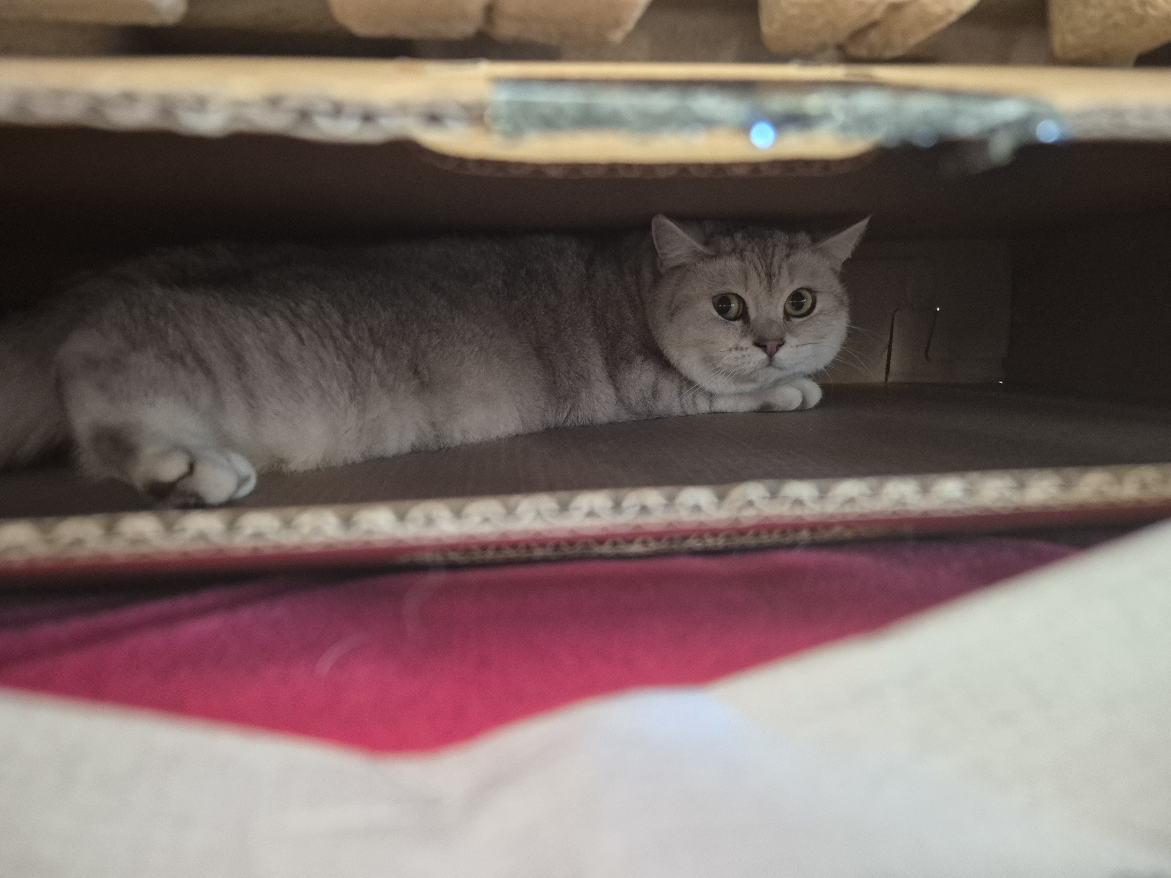 20251226_151710 (3).jpg