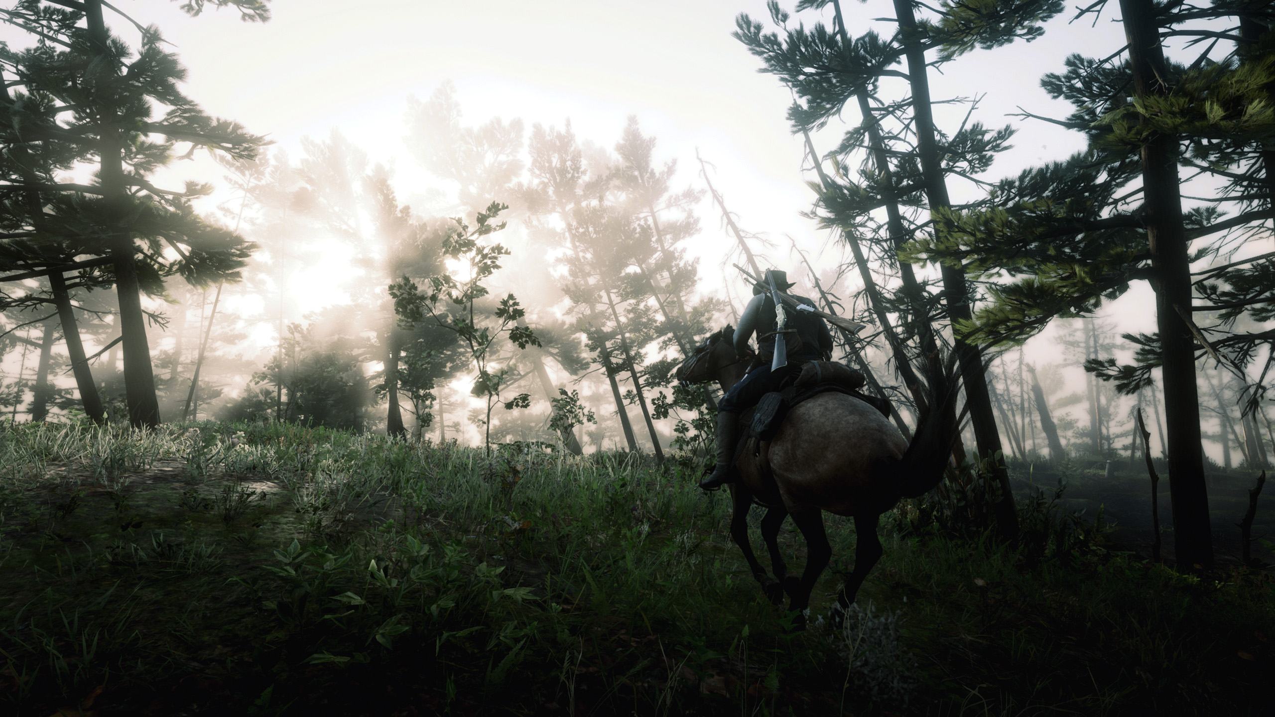 _0002_Red Dead Redemption 2 01.08.2020 08_30_11.png.jpg
