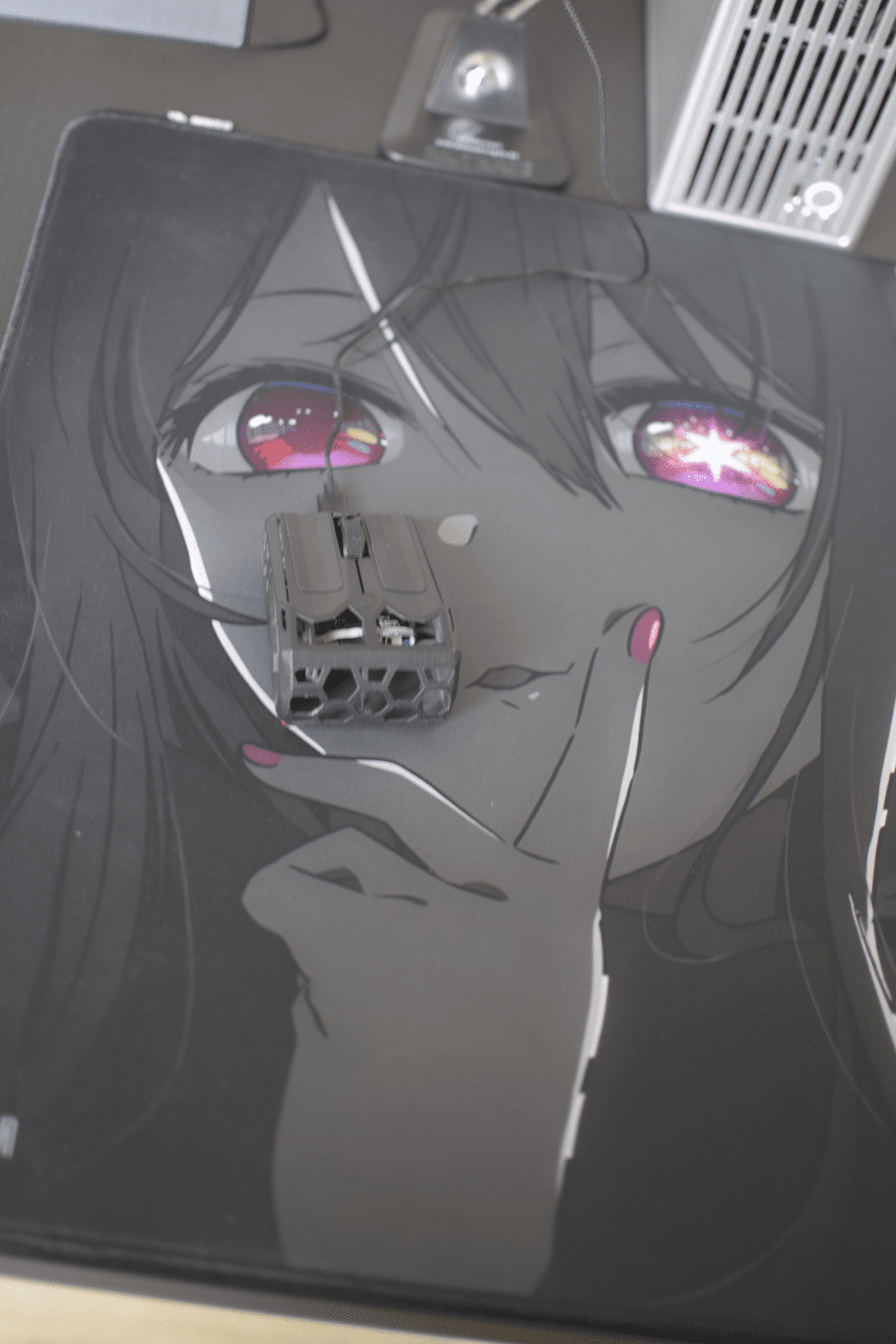 _DSC0008_.png