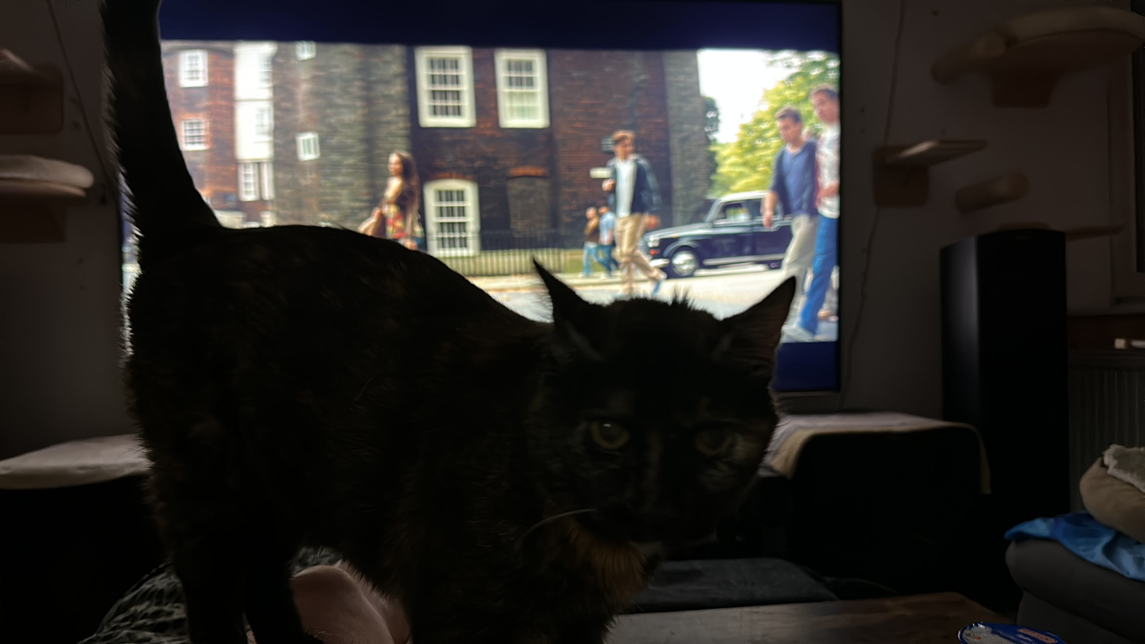 A3C9B910-2E3D-4372-BA43-26EF22835F3B.jpeg