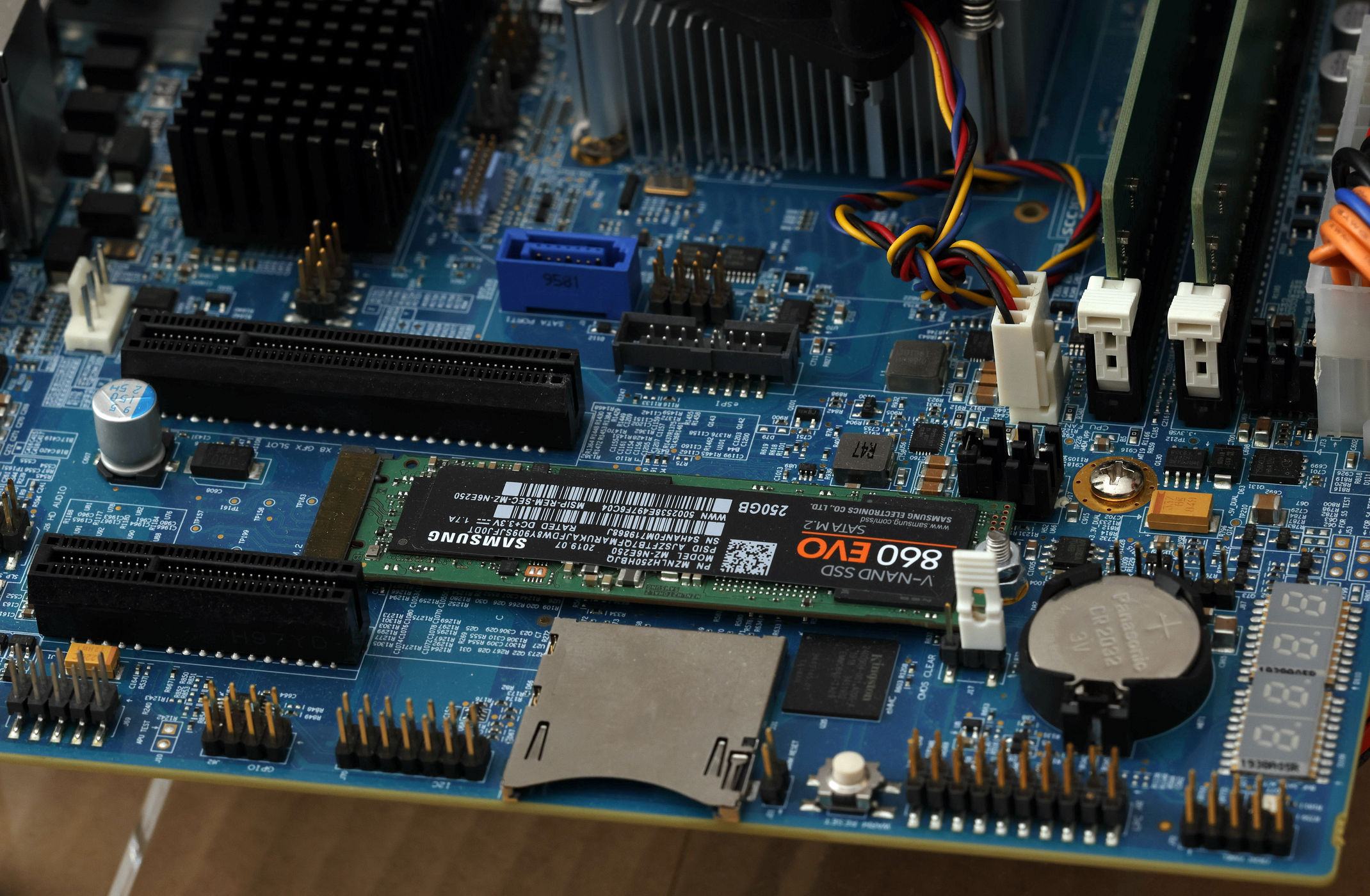 AMD_9211.jpg