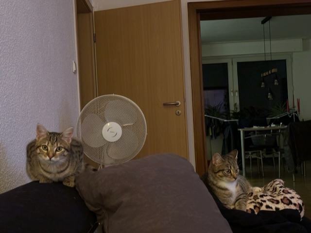 B6C7C34E-4022-49D8-B73D-1B883280F579.jpeg