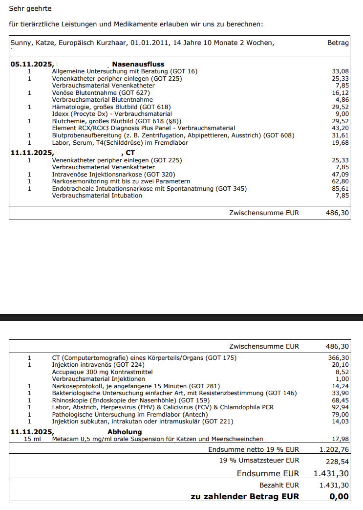 Bildschirmfoto 2025-11-11 um 22.40.29.png