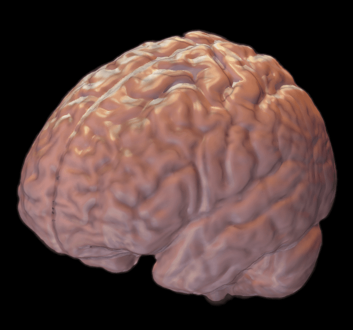 br1.png
