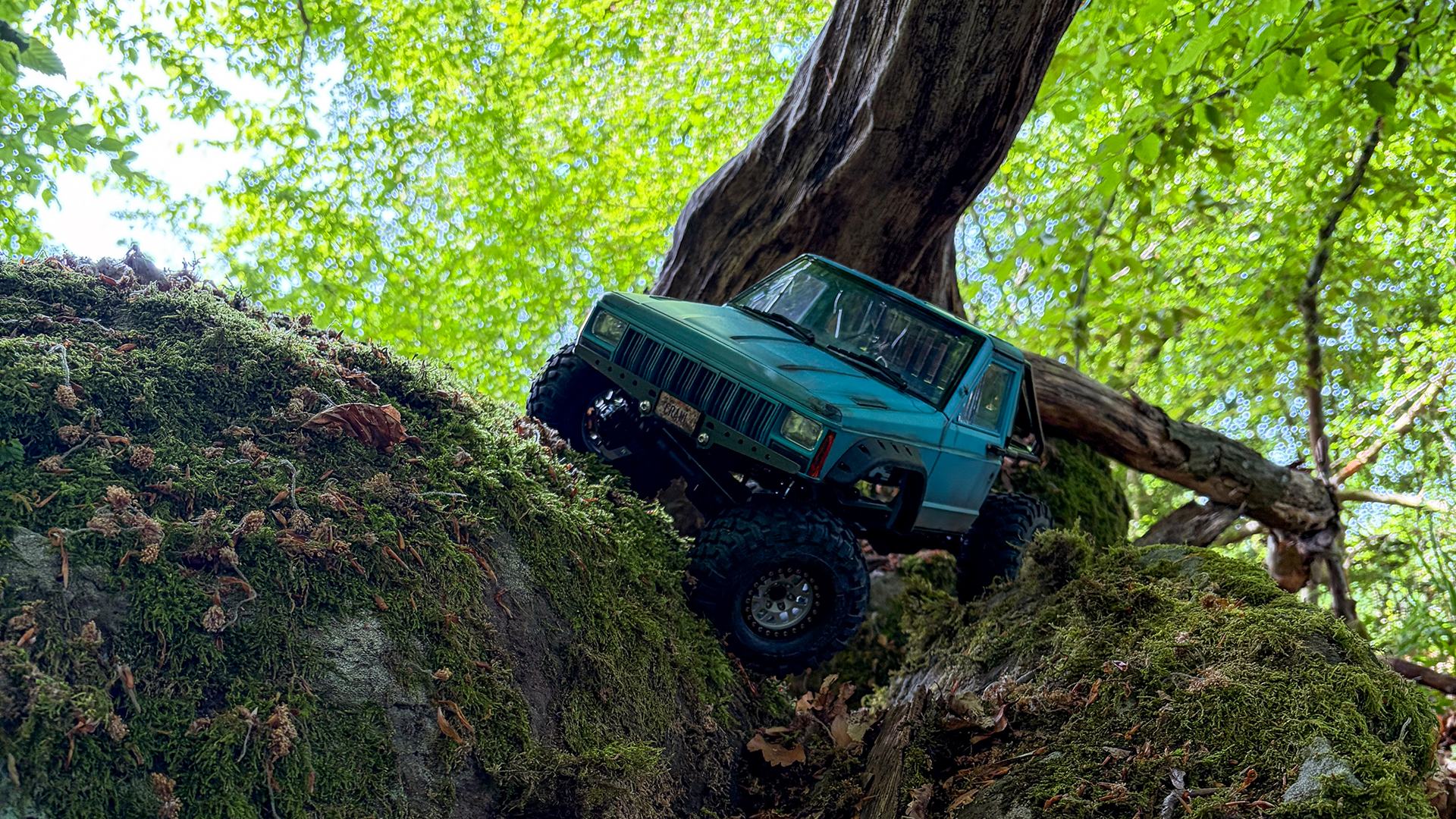 Crawler 1.jpg