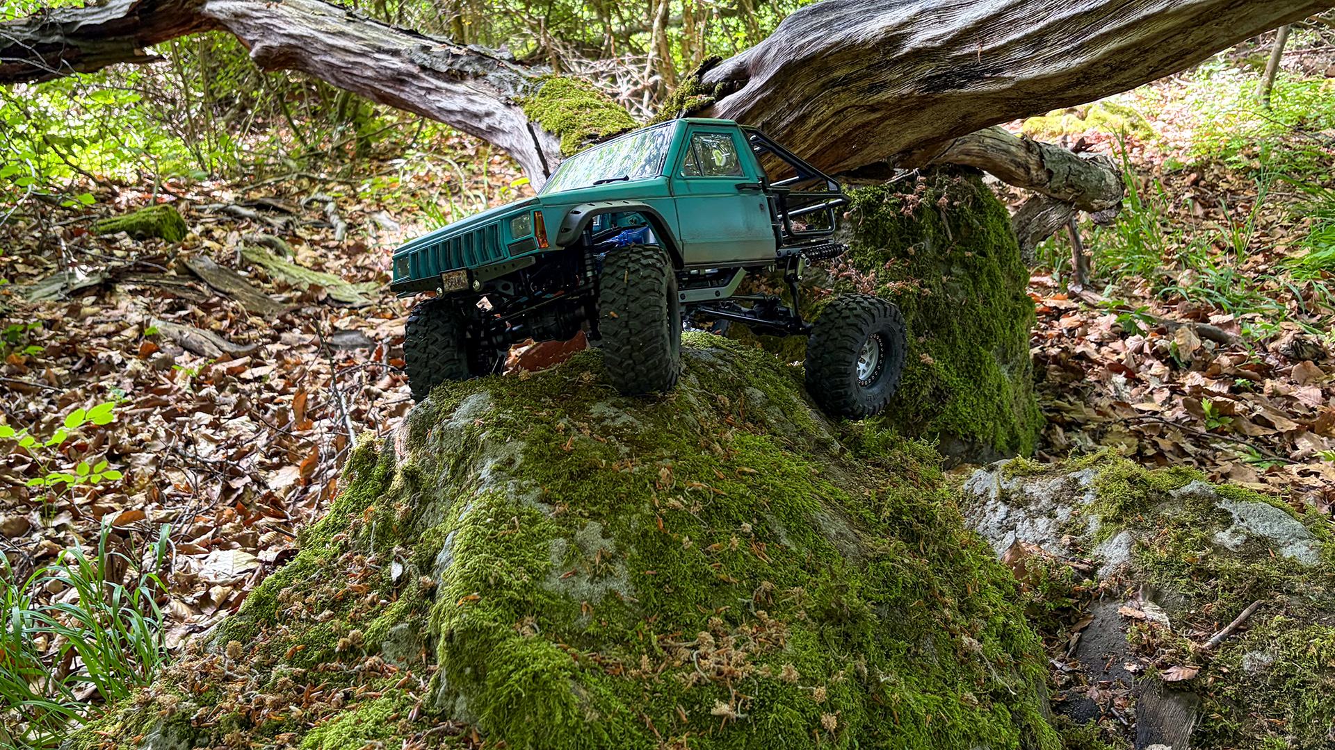 Crawler 2.jpg