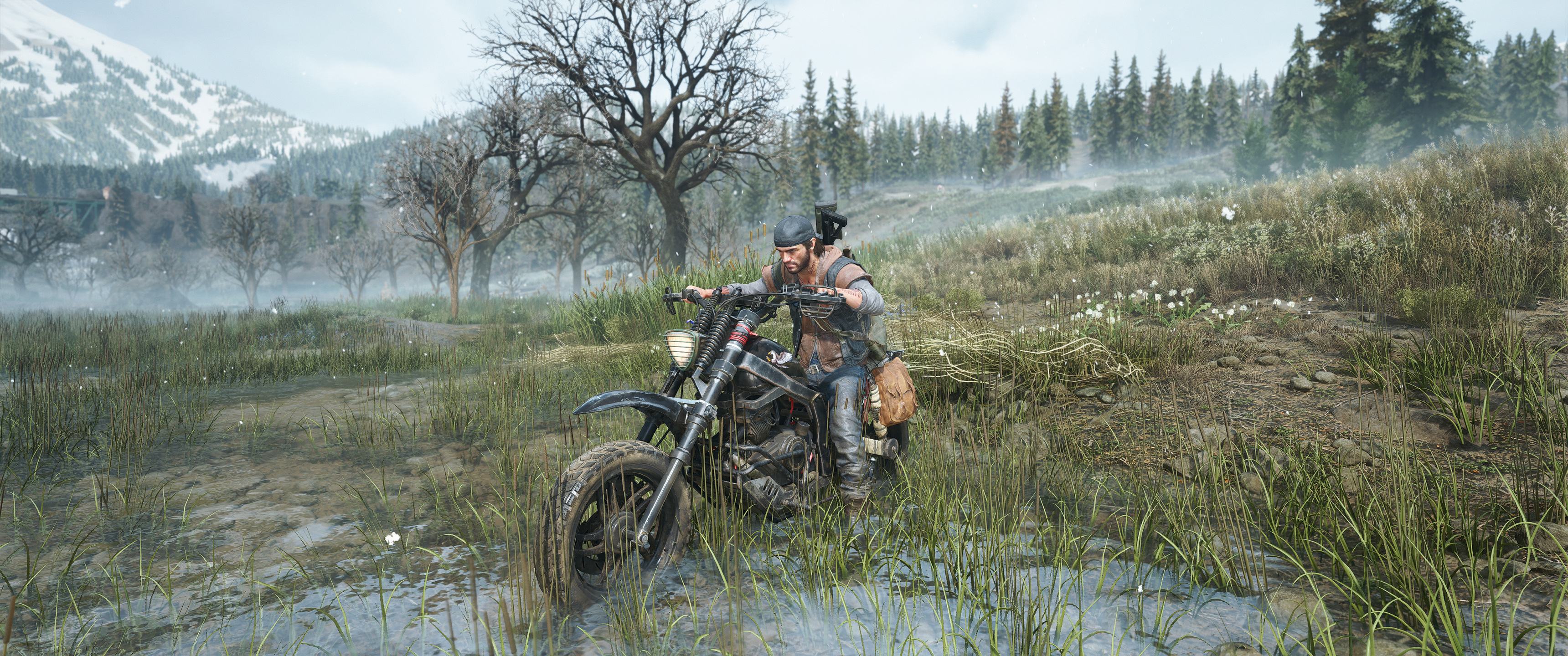 DaysGone_2021_05_23_22_20_24_096.jpg