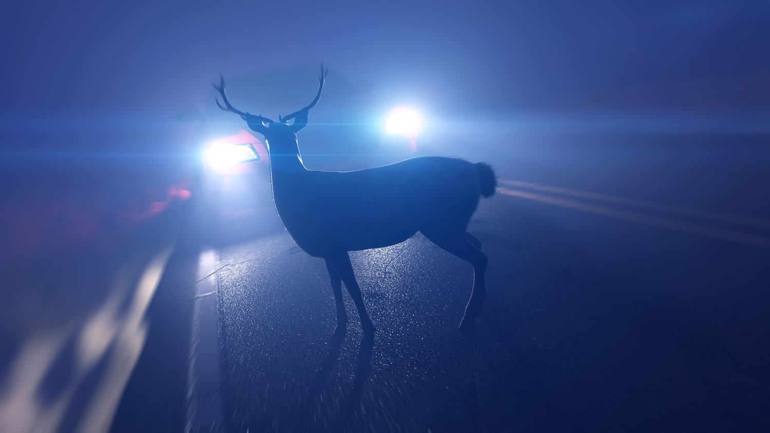DearHeadlight.jpeg
