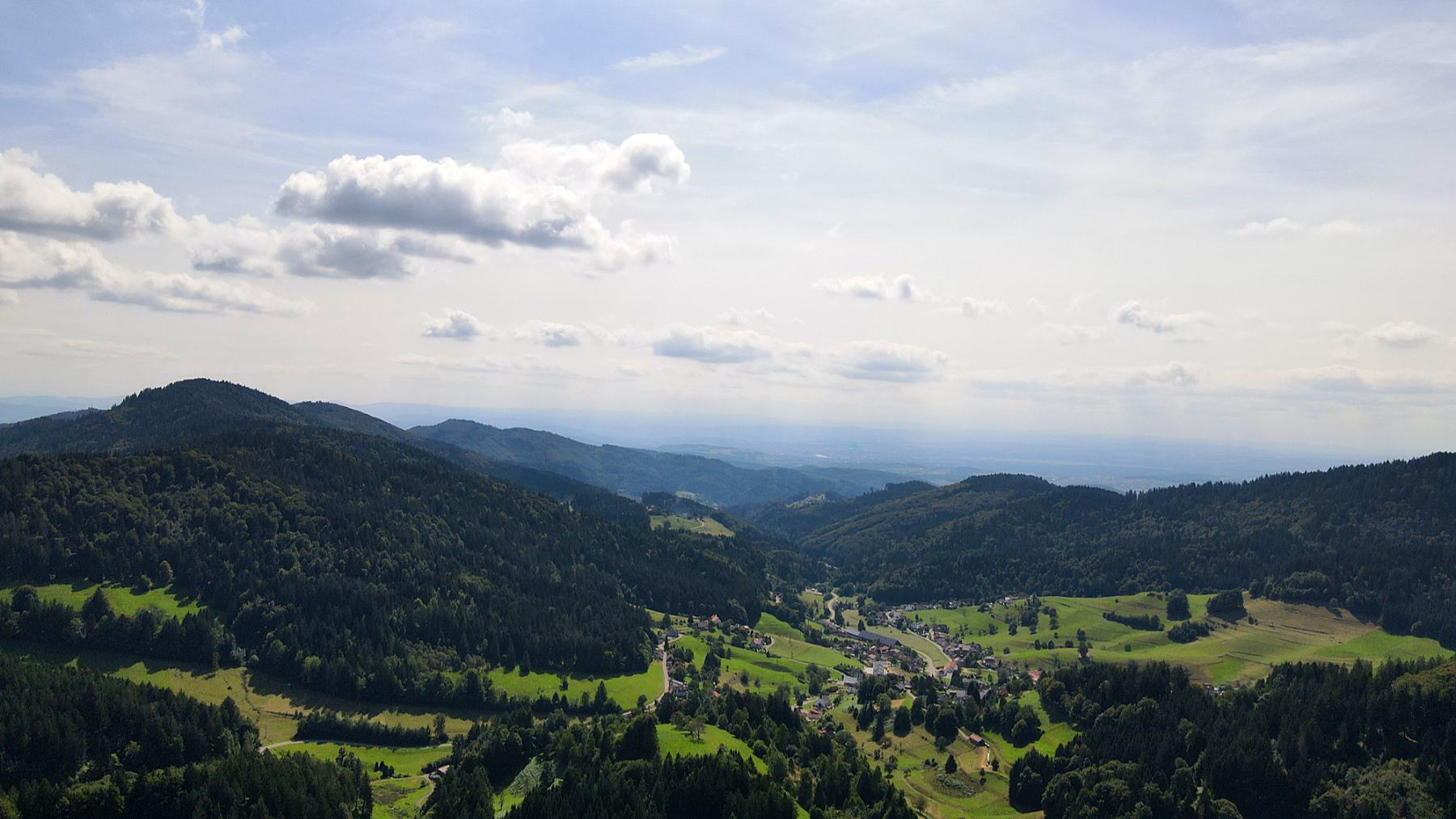 DJI_0009.jpg