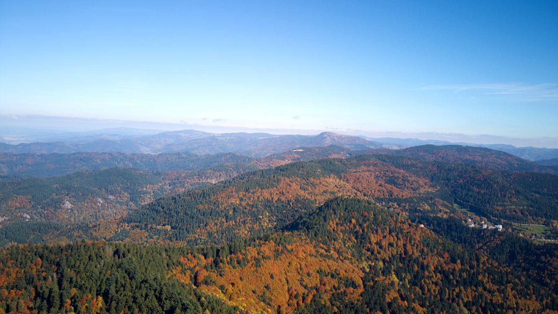 DJI_0050.jpg