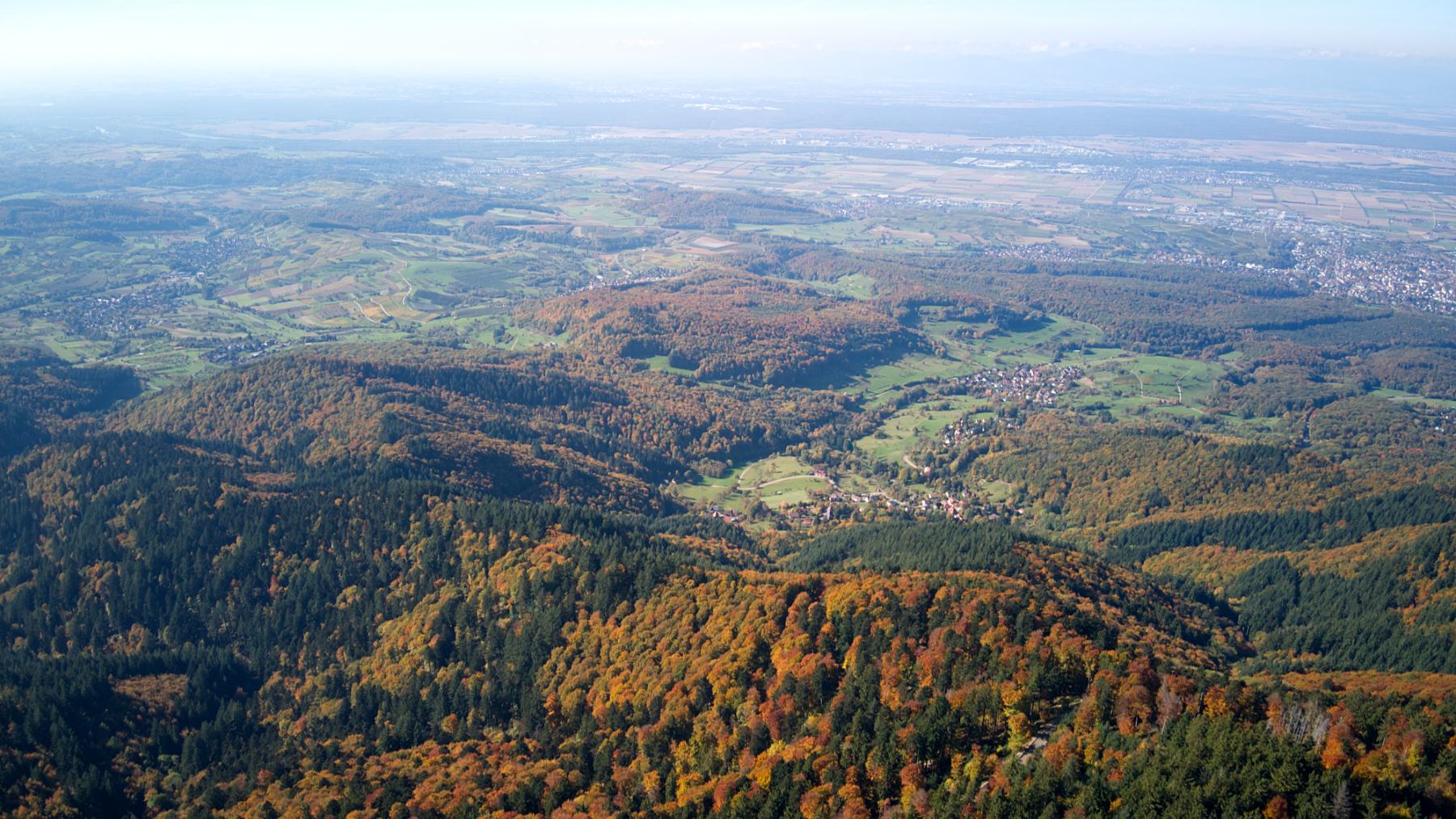 DJI_0053.jpg