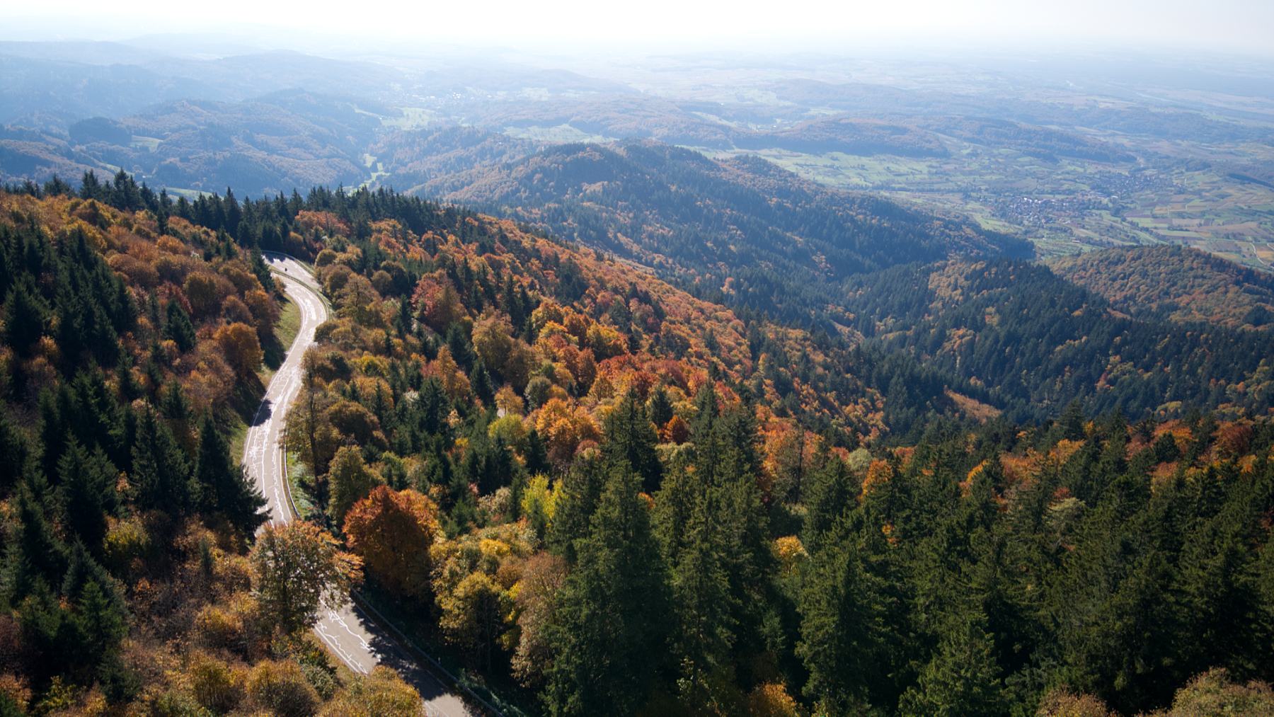 DJI_0062.jpg