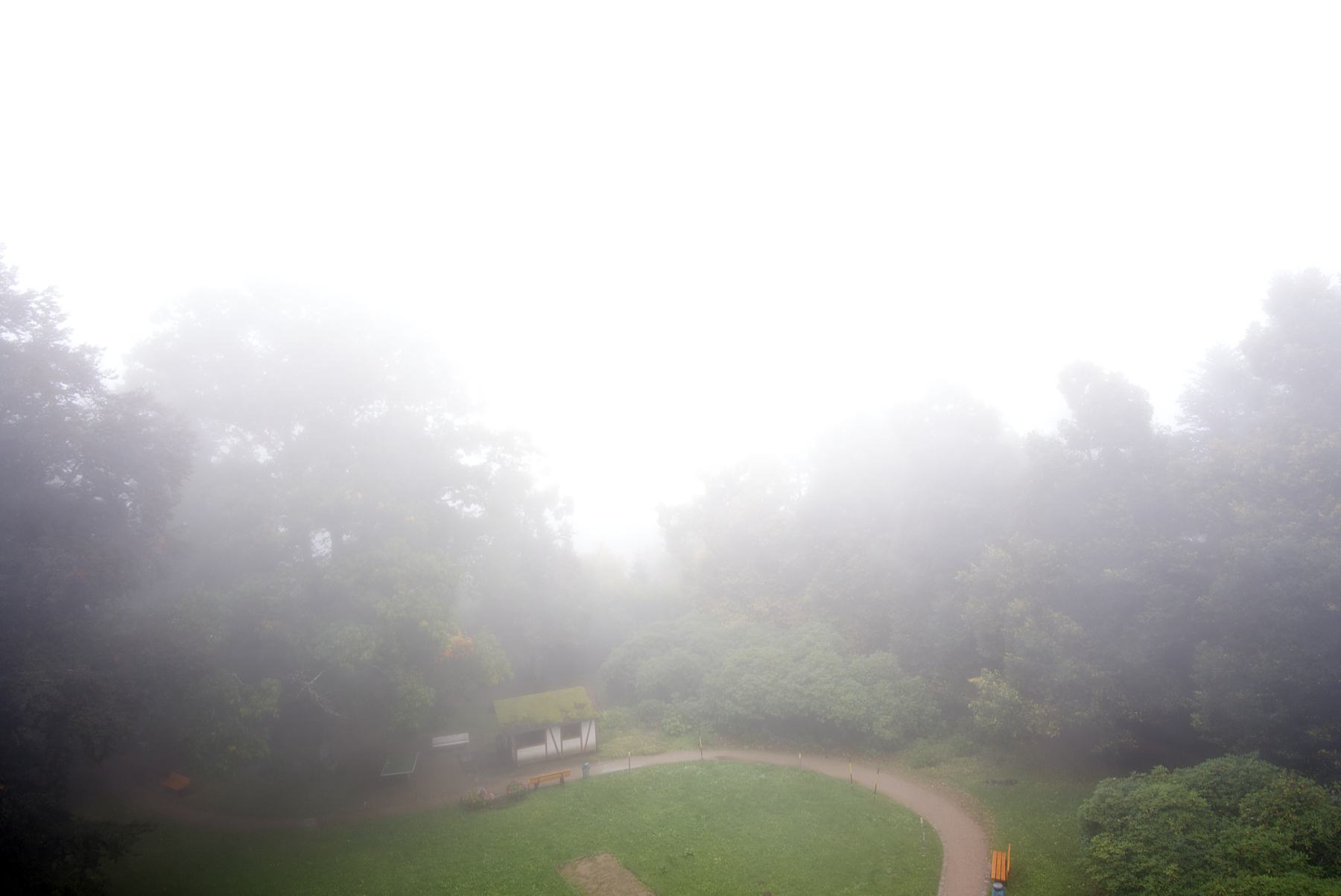 DSC04578.jpg