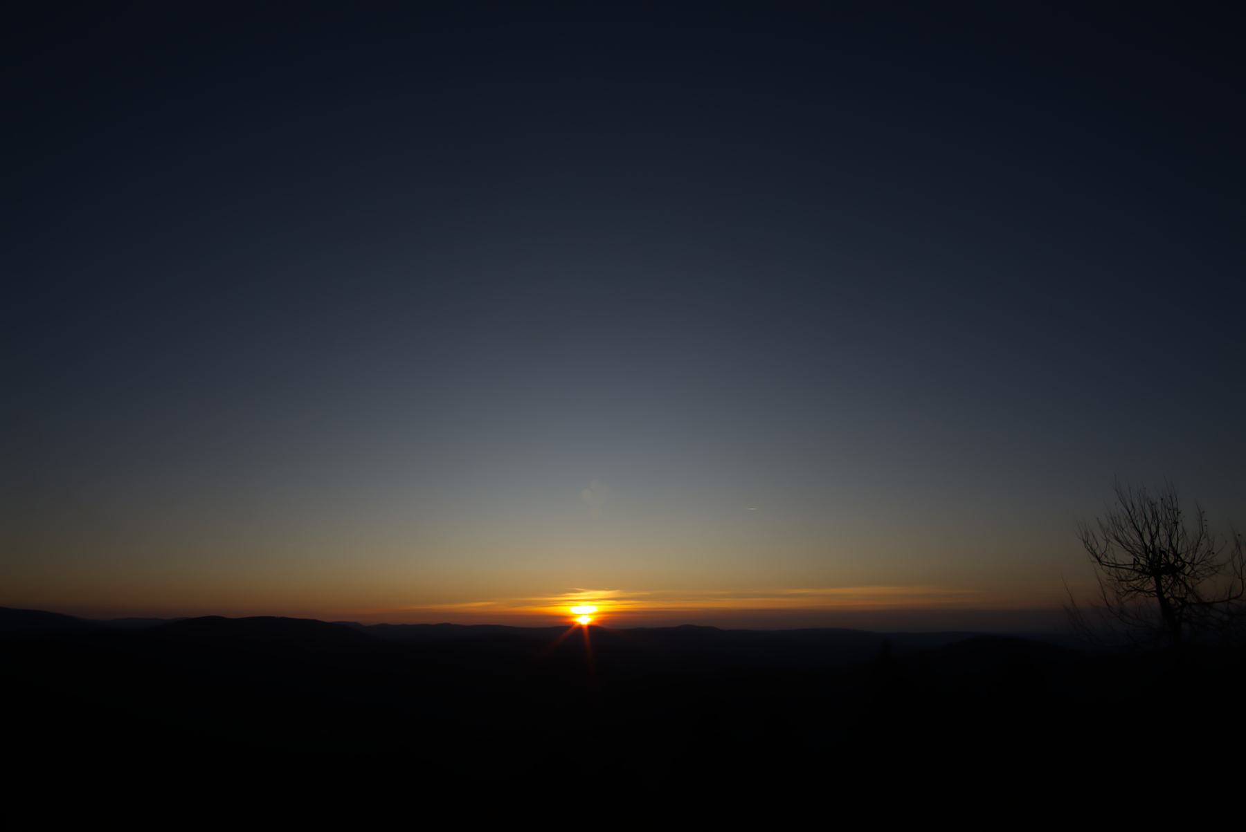 DSC04728.jpg