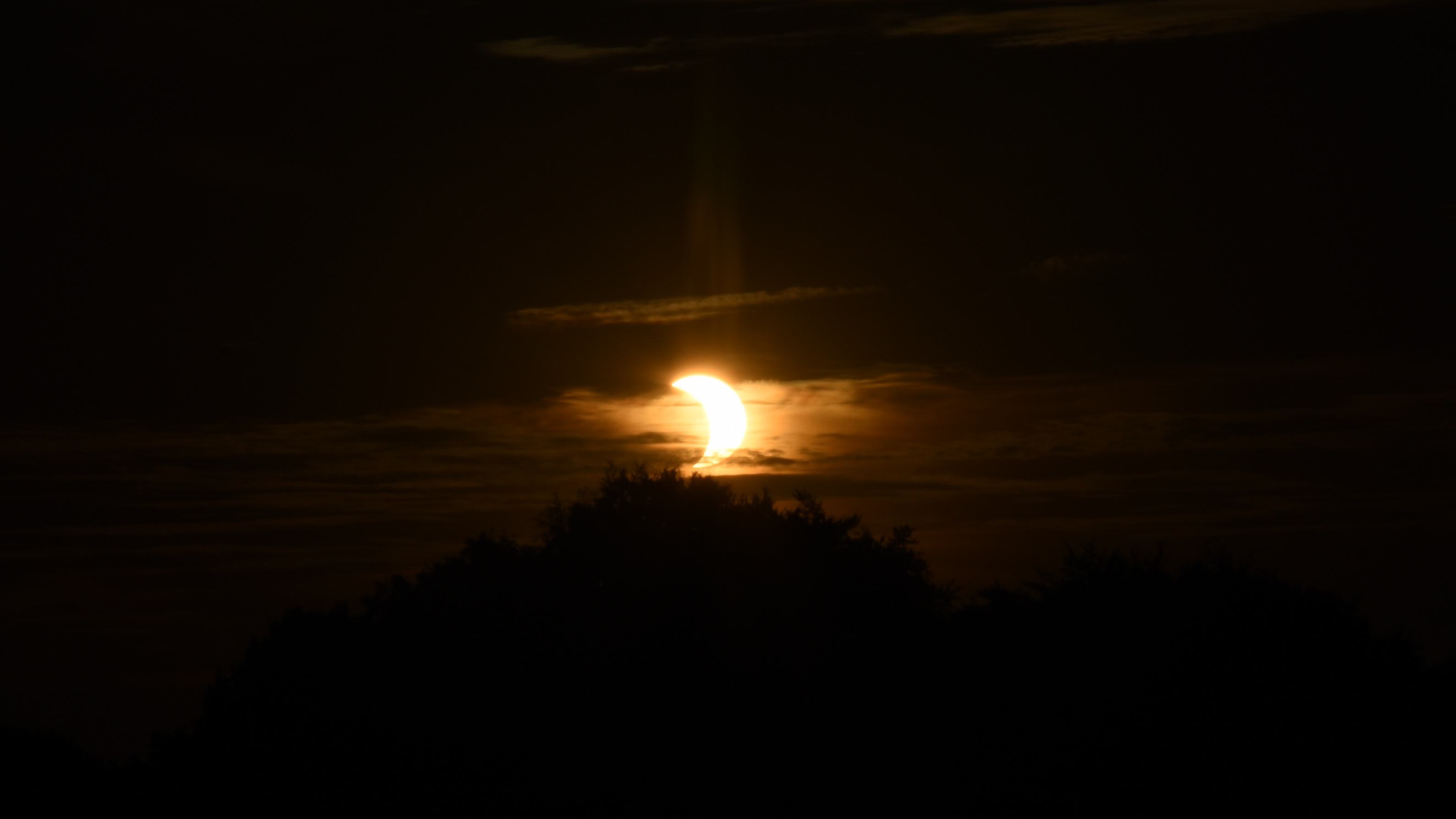 DSC_2127__01.jpg