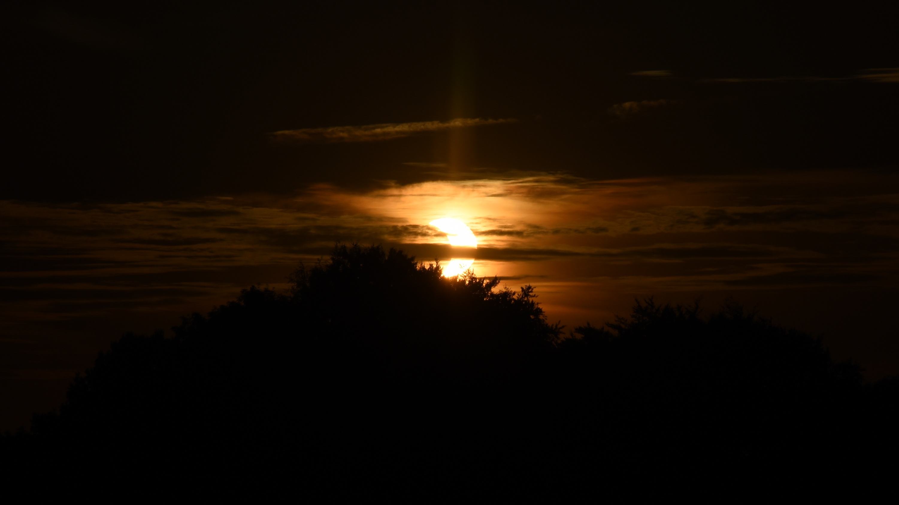 DSC_2134__01.jpg