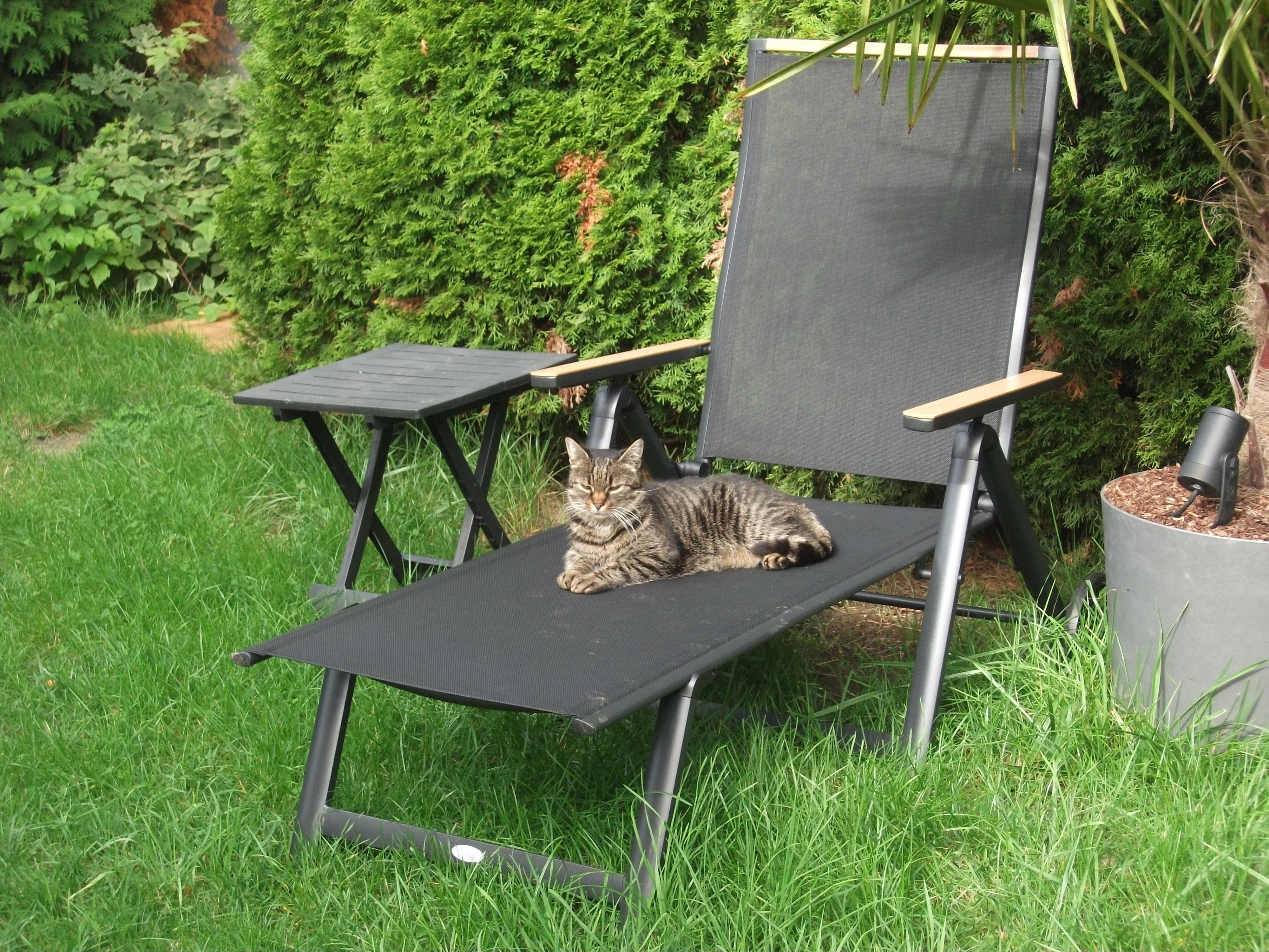 DSCF7390.JPG