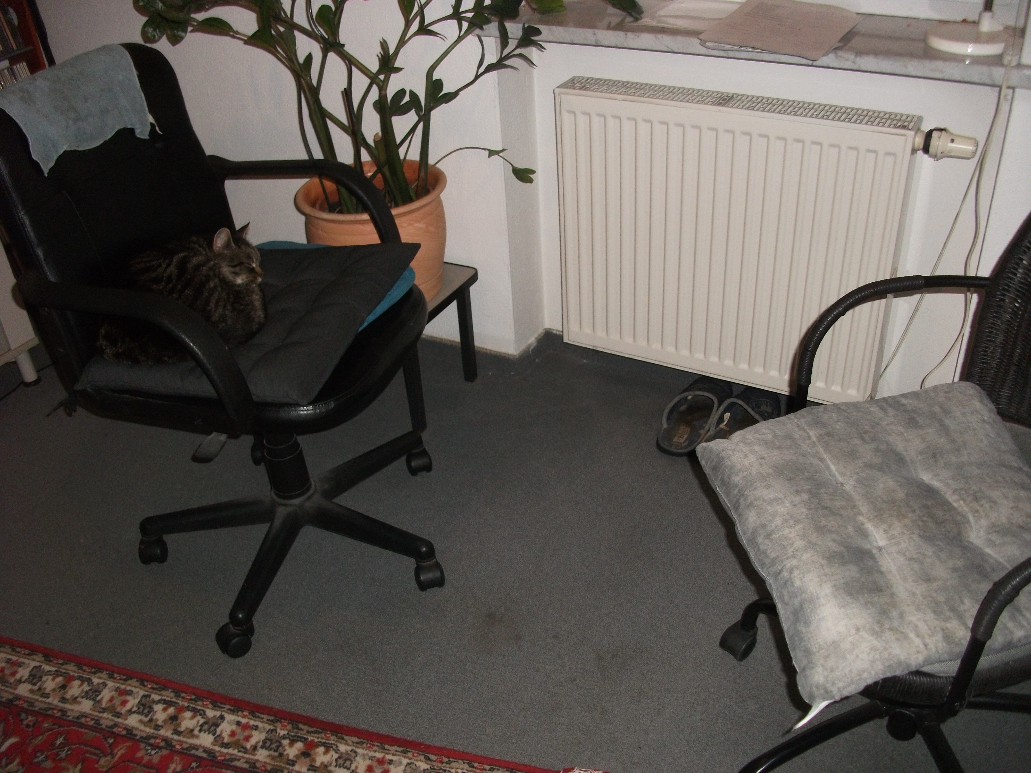 DSCF7401.JPG