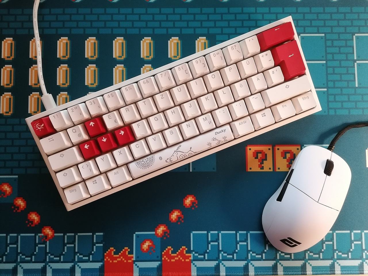 ducky_1.jpg