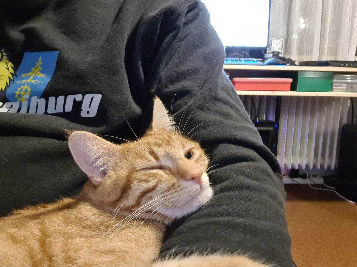 einsi2.jpg