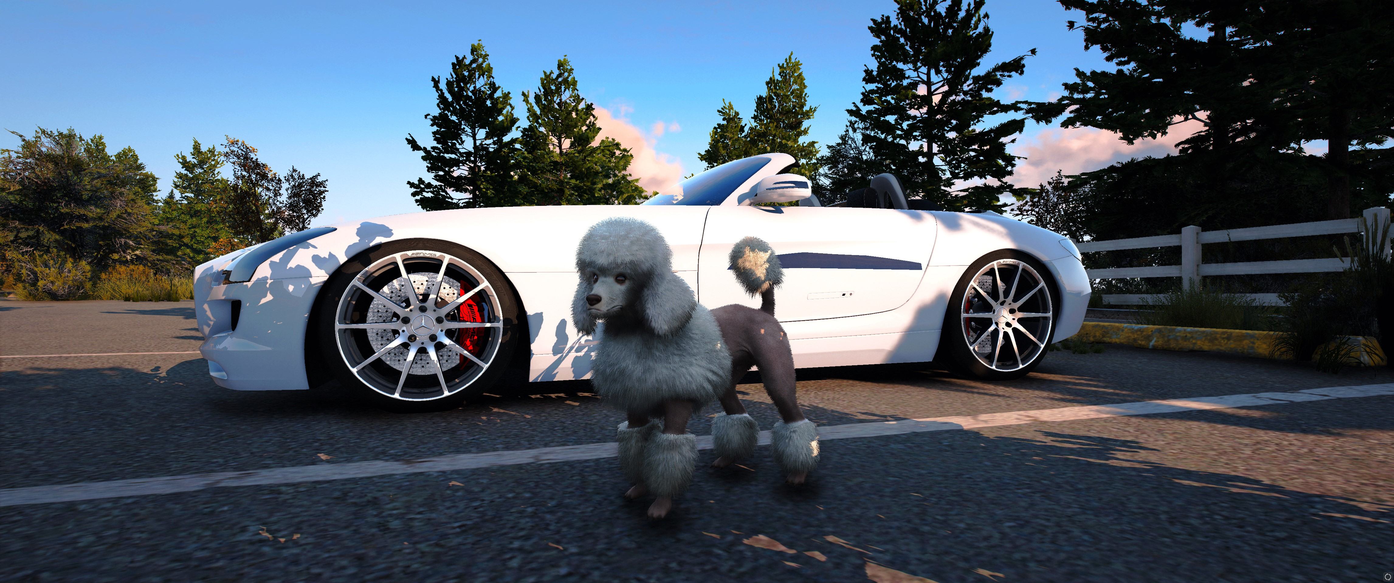Grand Theft Auto V 11.02.2023 11_03_05.jpeg