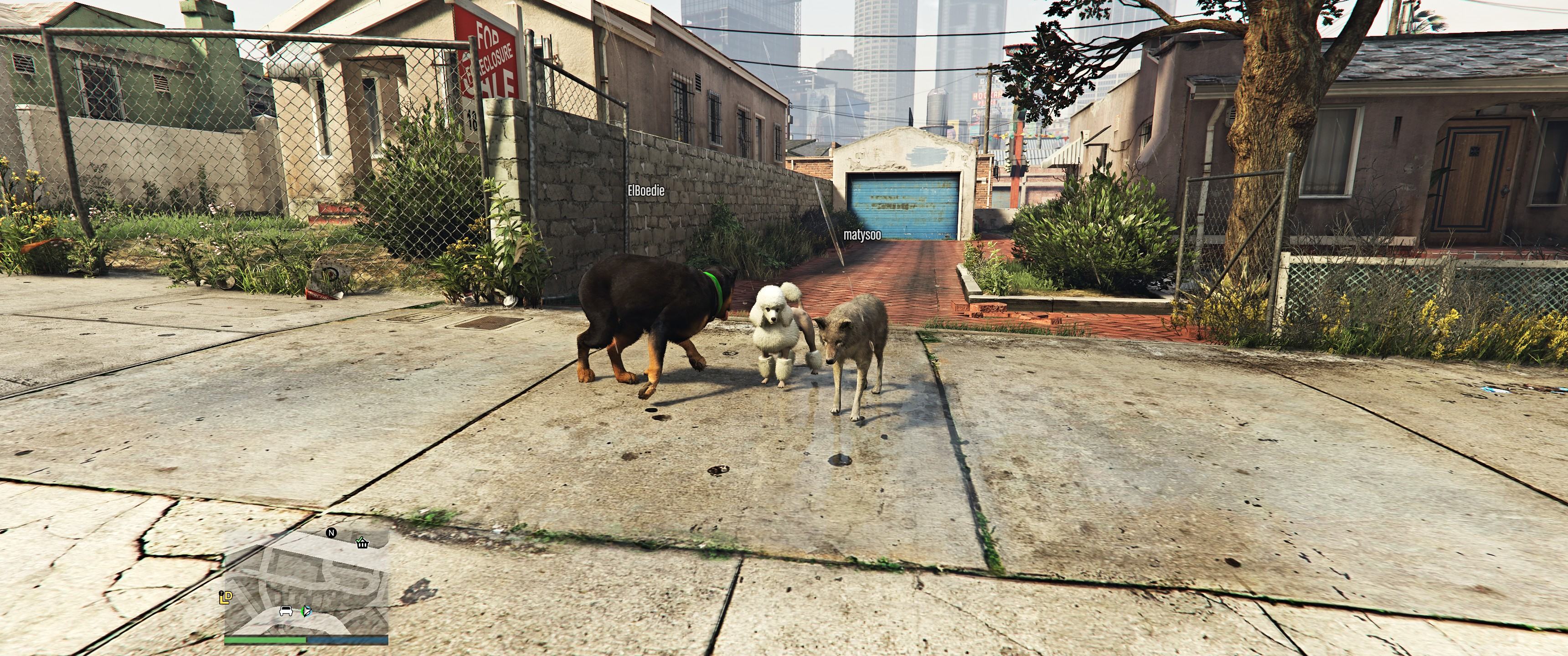 Grand Theft Auto V 25.10.2025 22_32_04.jpeg