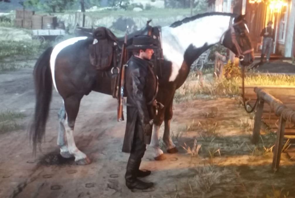 Halbblut RDR2. 2.jpg